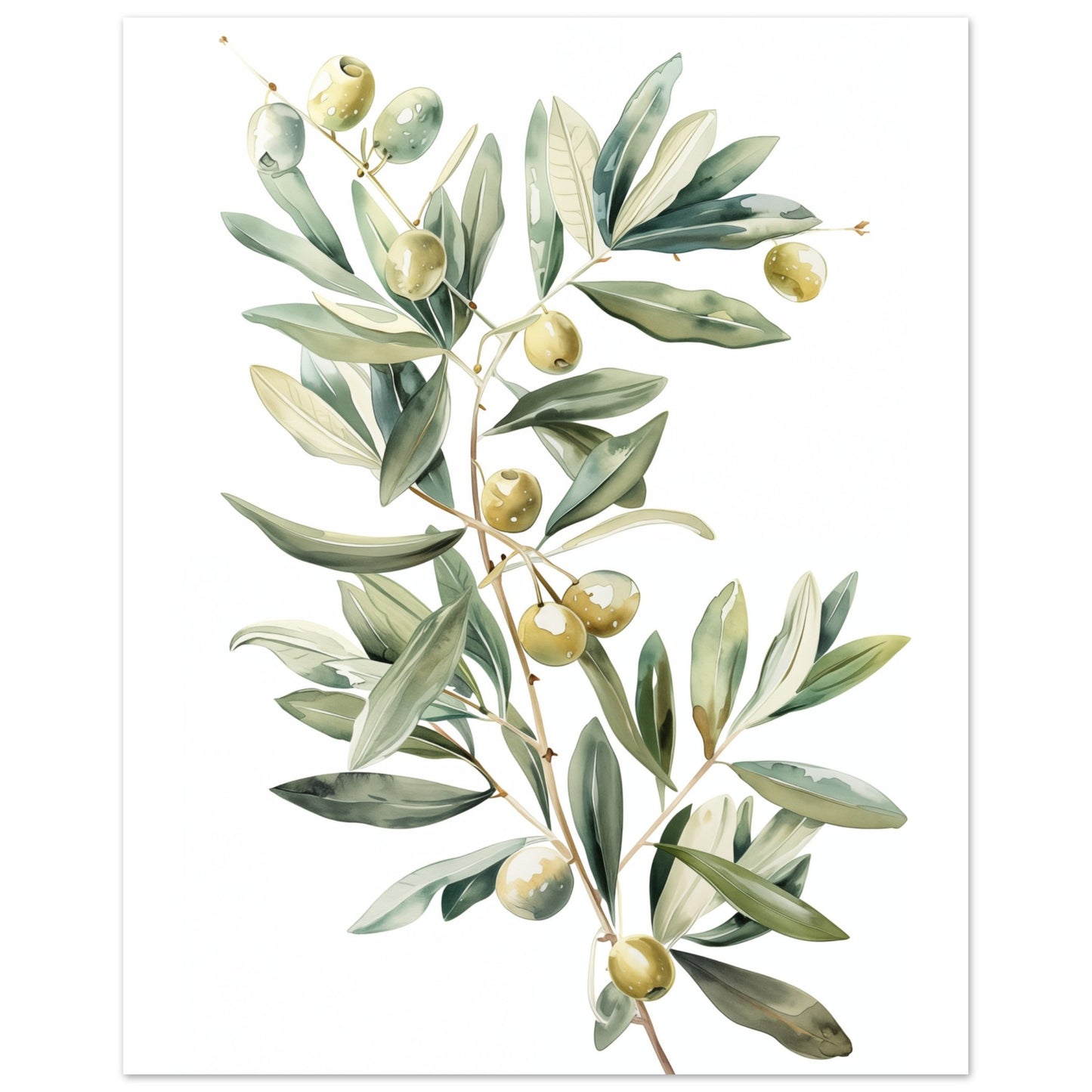 Mediterranean Olive Poster 20x25 cm - Pixara