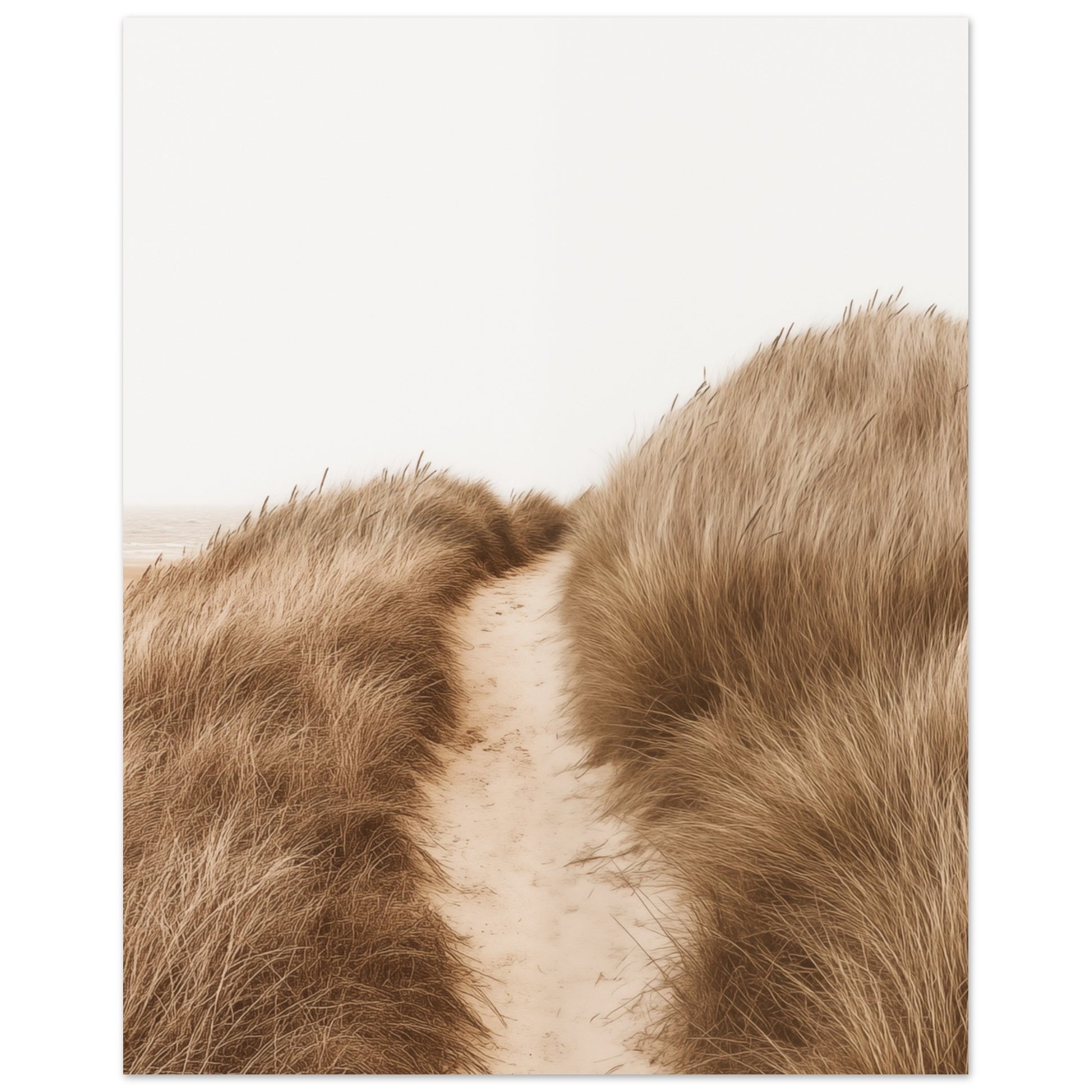 Path Through the Dunes Poster 20x25 cm - Pixara