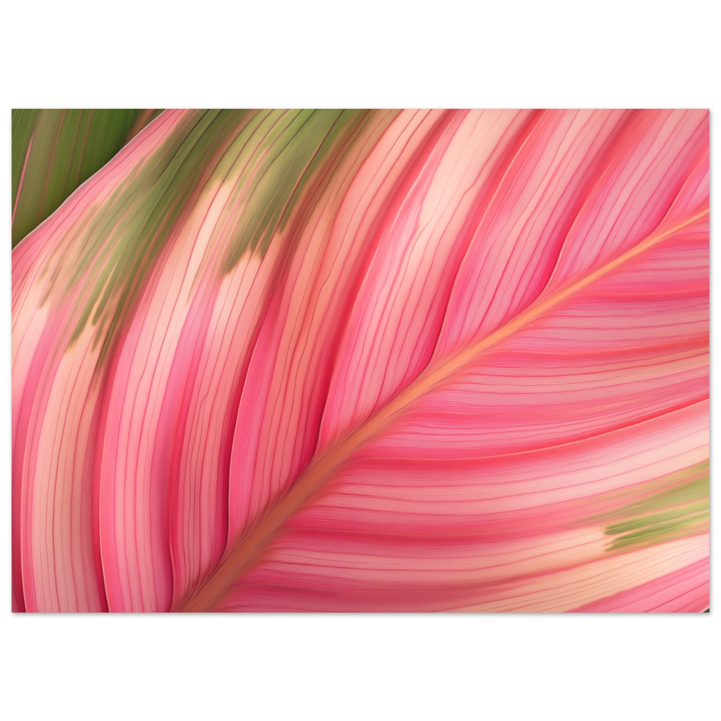 Calathea-Magie Poster 13x18 cm - Pixara