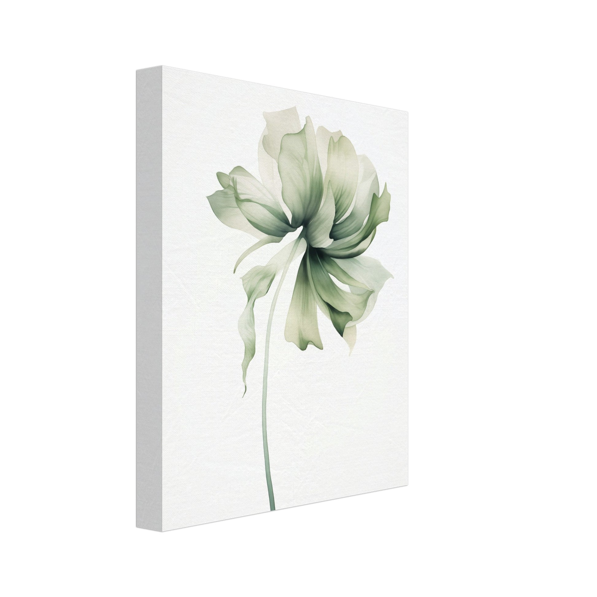 Leinwand „Florale Whisper“ mit einzelne zarte Blüte in Weiß und blassem Grün mit langem Stiel, 20x25 cm
