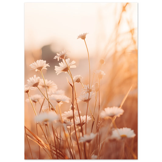 Poster „Morgendämmerung im Feld“ mit zarte Wildblumen und Gräser im warmen roséfarbenen Morgenlicht, 13x18 cm