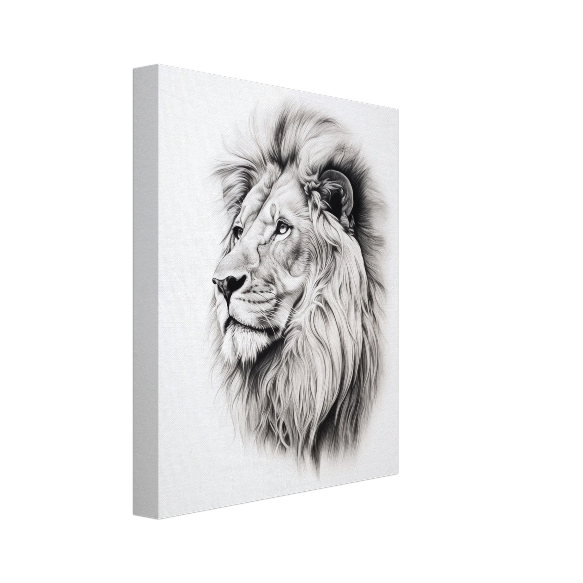 Leinwand „Skizze eines Löwen“ mit Löwenkopf als feine monochrome Bleistiftskizze, 20x25 cm