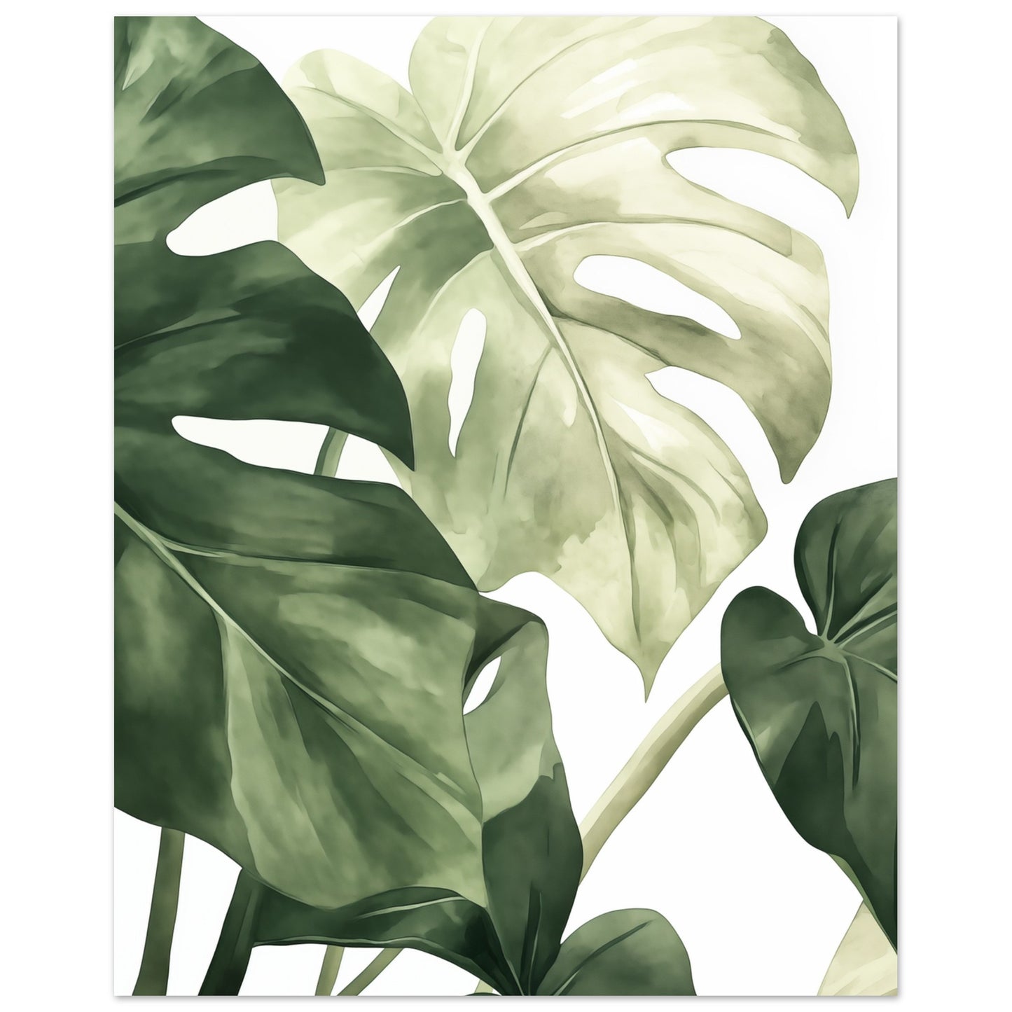 Monstera Blätter Poster 20x25 cm - Pixara