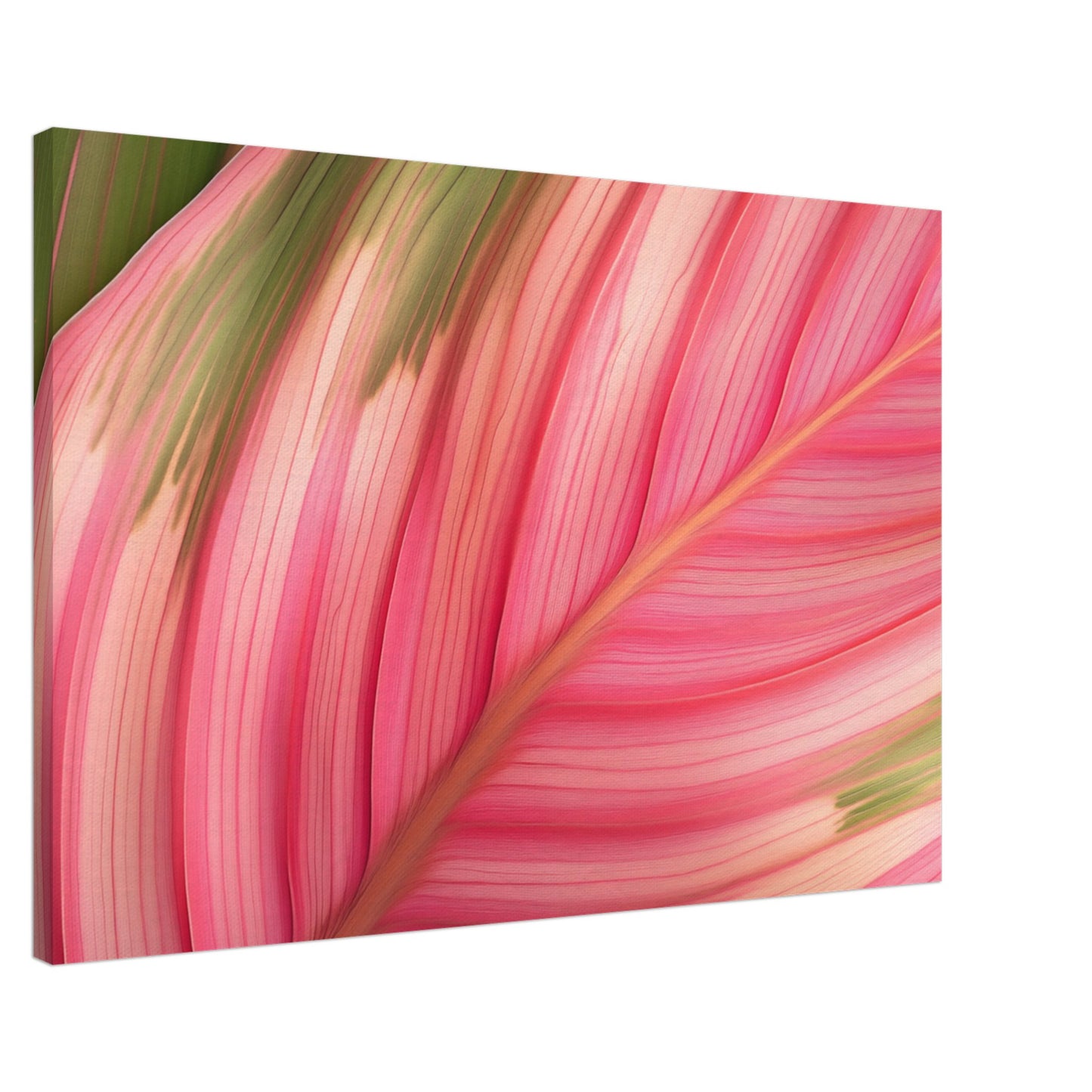 Calathea-Magie Leinwand 60x90 cm - Pixara