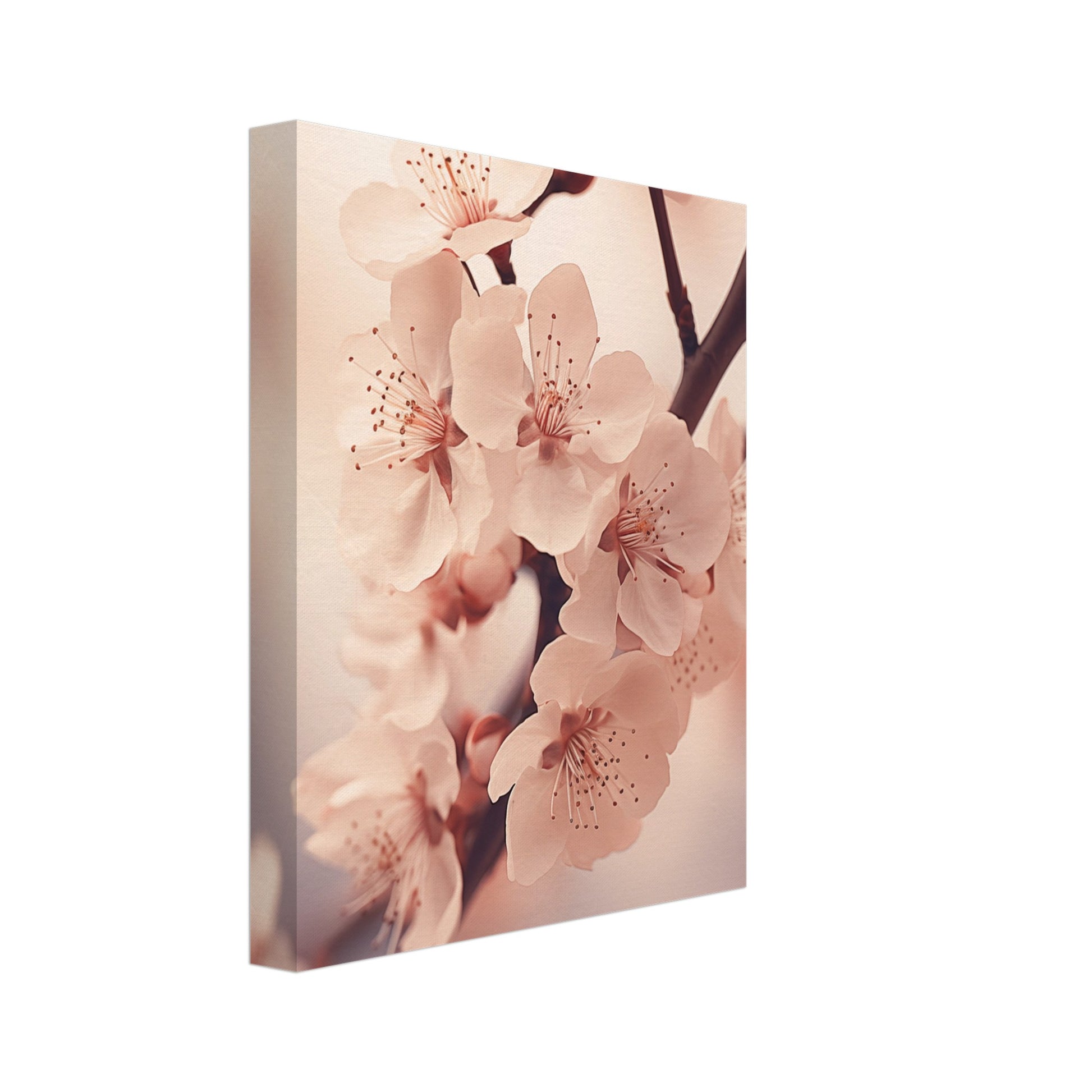 Leinwand „Kirschblüten“ mit zarte rosafarbene Kirschblüten an dunklen Zweigen mit weicher Tiefenwirkung, 20x25 cm
