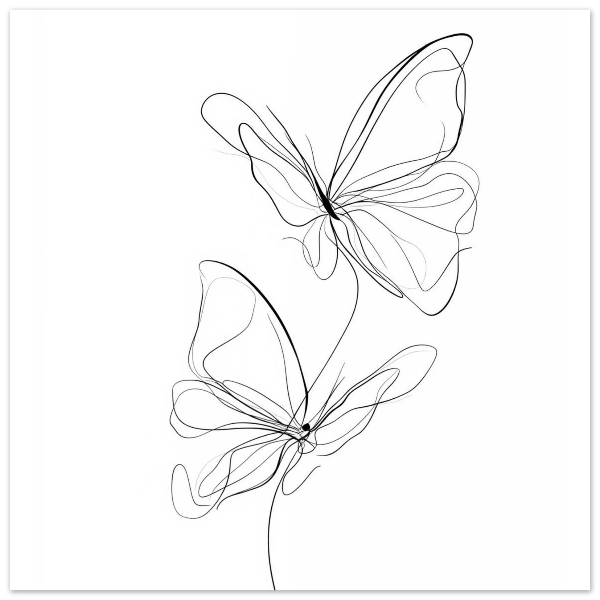 Federleicht – Schmetterlinge in Linie Poster 30x30 cm - Pixara