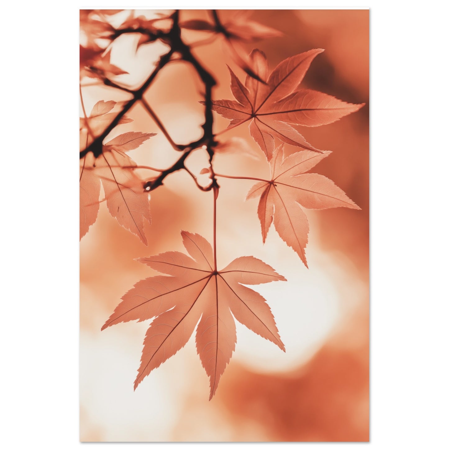 Herbstlicher Ahorntraum 60x90 cm - Pixara