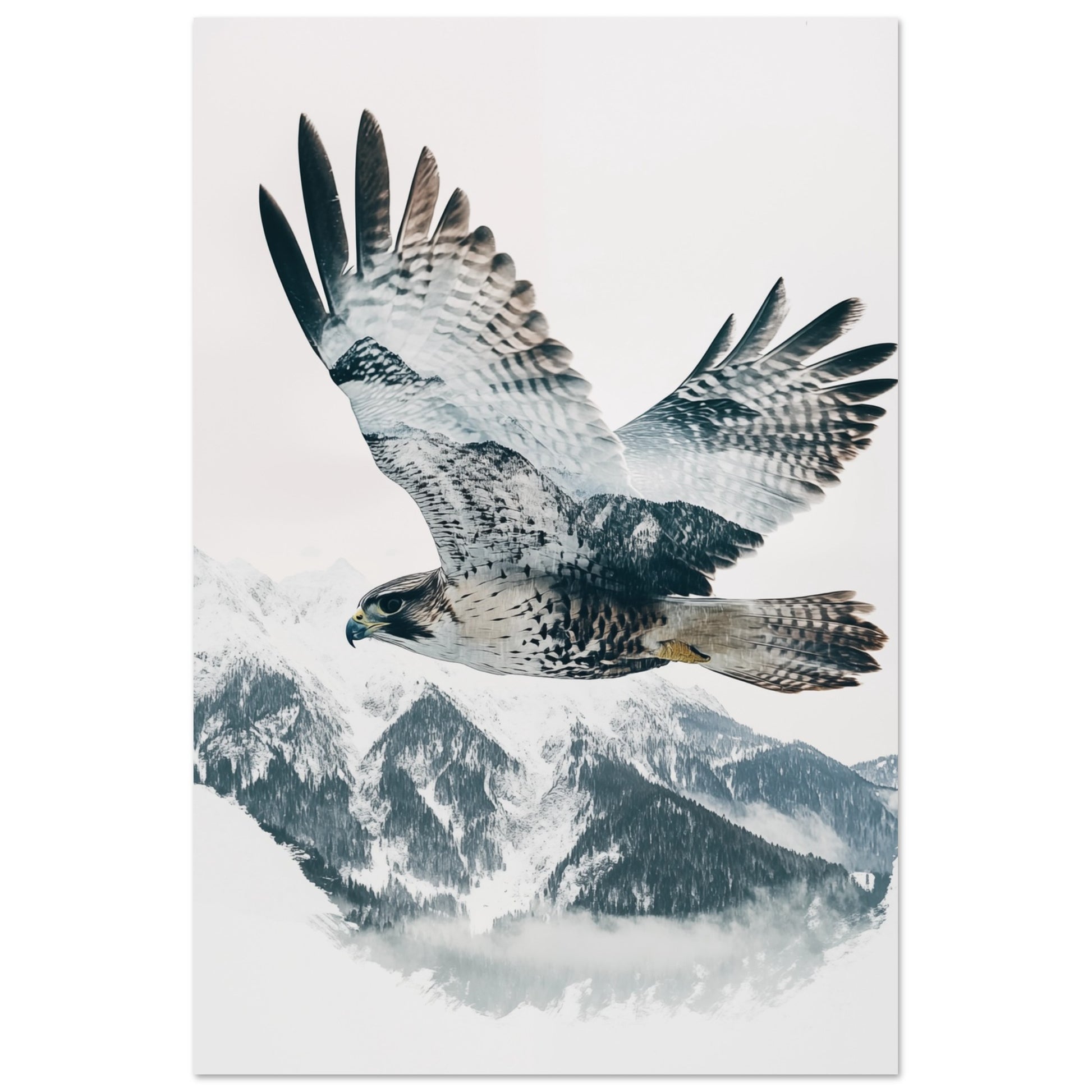Doppelbelichtung Falke im Flug 60x90 cm - Pixara