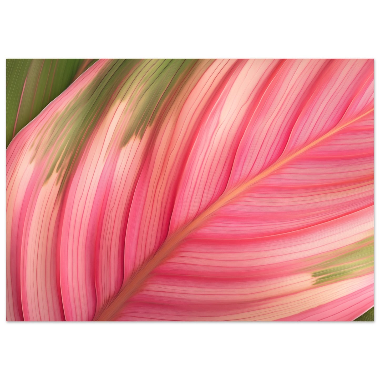 Calathea-Magie Poster 50x70 cm - Pixara