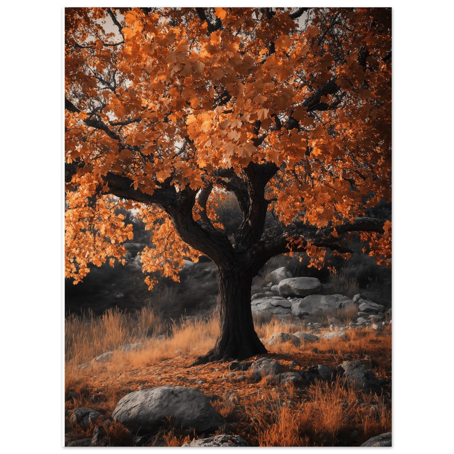 Eichenwunder im Herbst 30x40 cm - Pixara