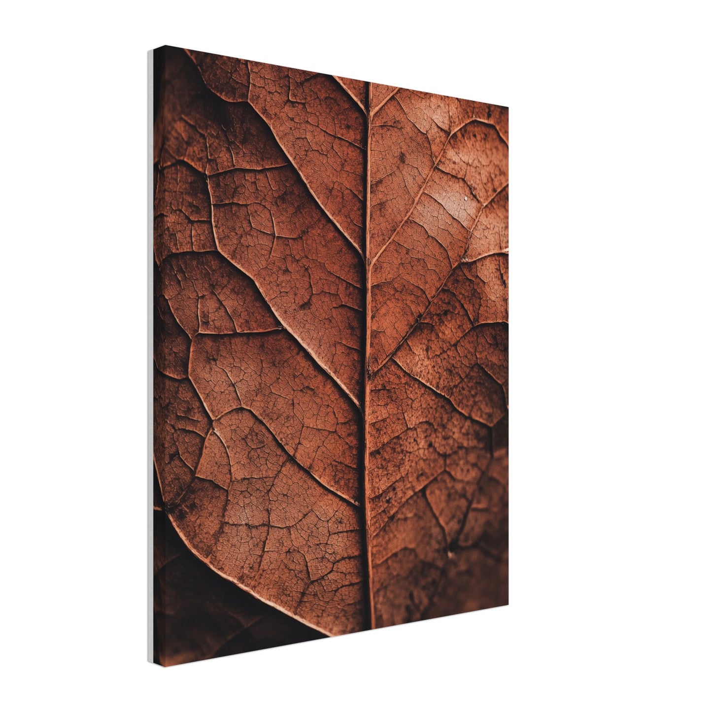 Herbstliches Laub – Natur im Detail Leinwand 40x50 cm - Pixara