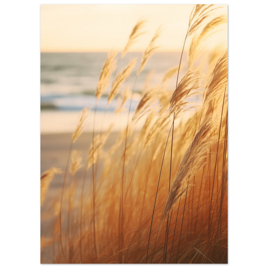 Poster „Goldene Wispern“ mit goldene Gräser im warmen Abendlicht vor weich verschwommenem Meereshorizont, 13x18 cm