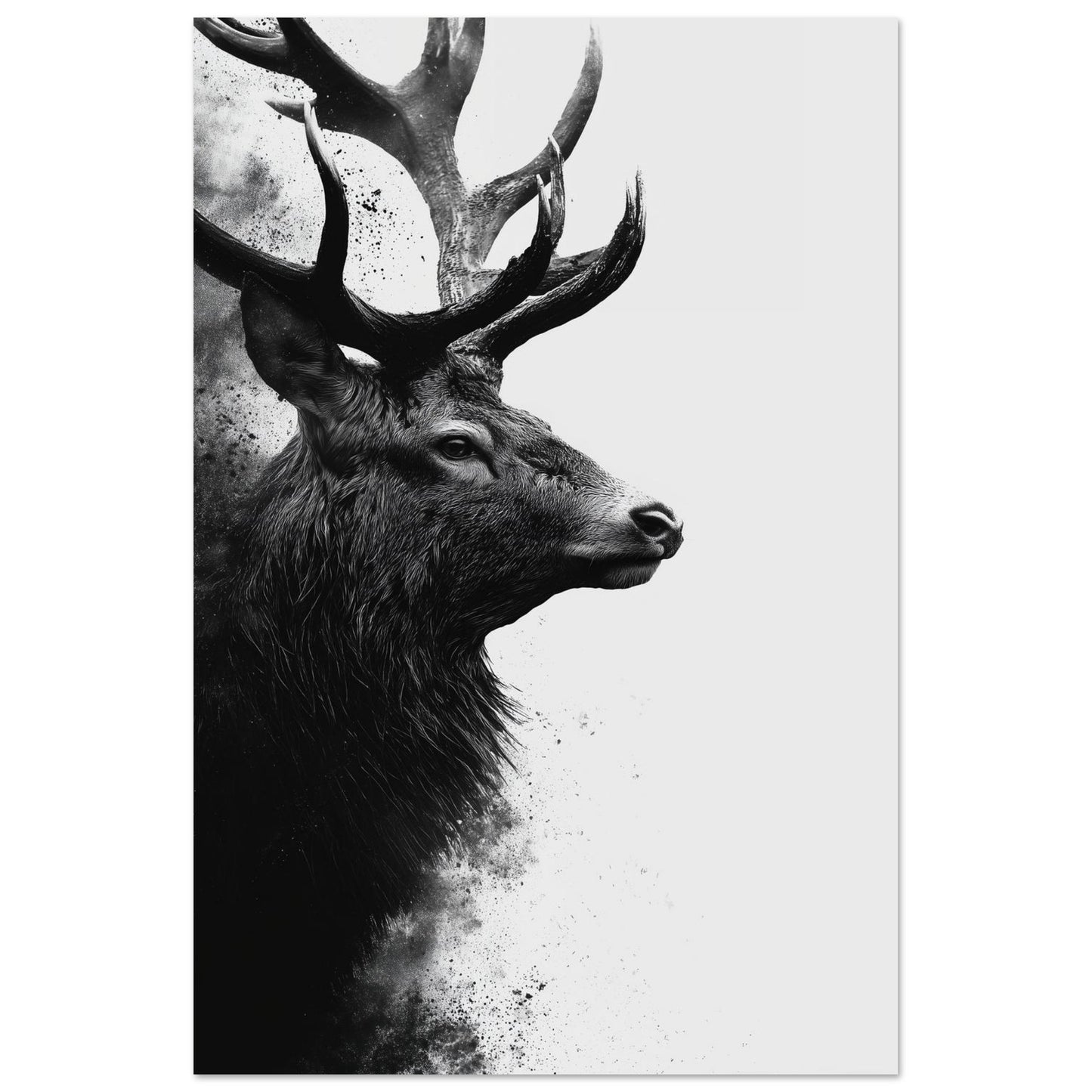 Hirsch – Schwarzweiß Fine-Art Porträt 60x90 cm - Pixara