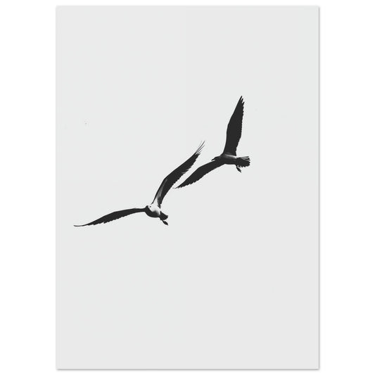 Poster „Schwarzer Flug“ mit zwei fliegenden schwarzen Vögeln als minimalistische Silhouetten, 13x18 cm