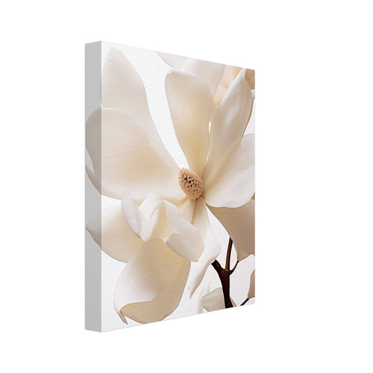 Leinwand „Reine Eleganz“ mit helle Magnolienblüten an dunklem Zweig in Creme, Beige und warmem Weiß, 20x25 cm