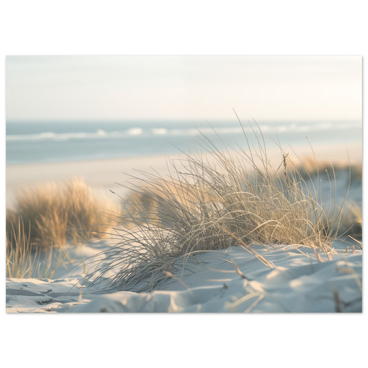 Poster „Sand und Schilf“ mit helle Sanddünen mit Strandgräsern und ruhigem Meer in Creme, Sand und zartem Blau, 13x18 cm