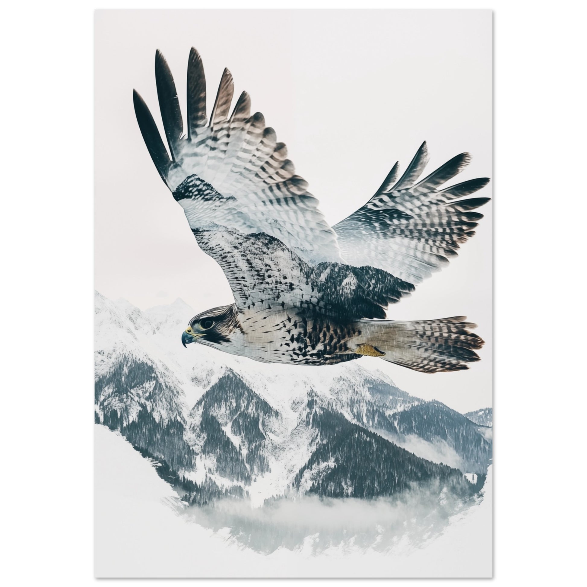 Doppelbelichtung Falke im Flug 70x100 cm - Pixara