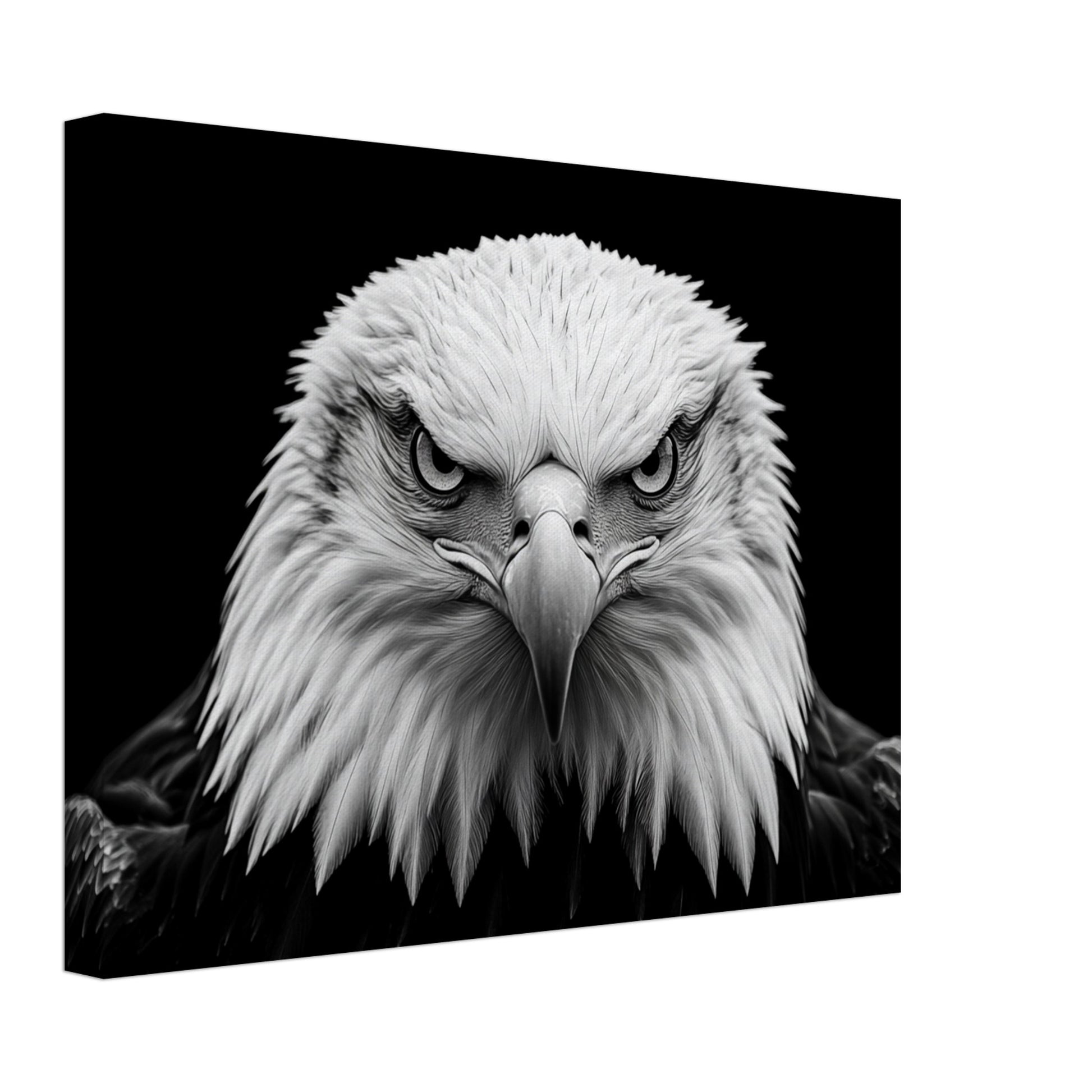 Leinwand „Schwarz-Weiß Porträt eines majestätischen Adlers“ mit Weißkopfseeadler-Porträt in kontrastreichem Schwarzweiß, 30x40 cm