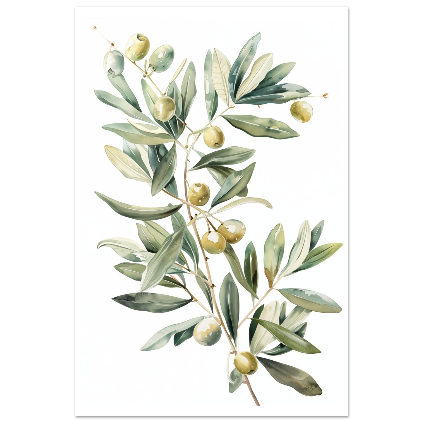 Mediterranean Olive Poster 60x90 cm - Pixara