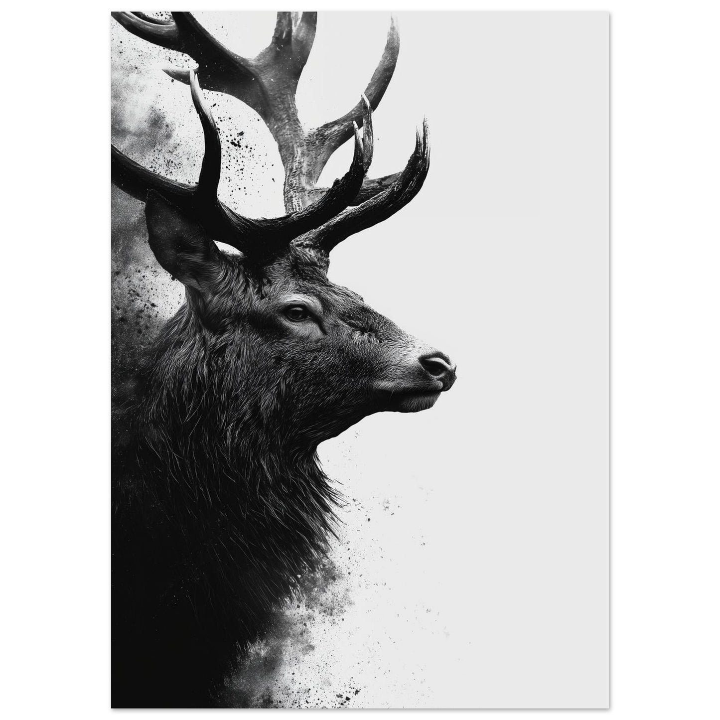 Hirsch – Schwarzweiß Fine-Art Porträt 50x70 cm - Pixara