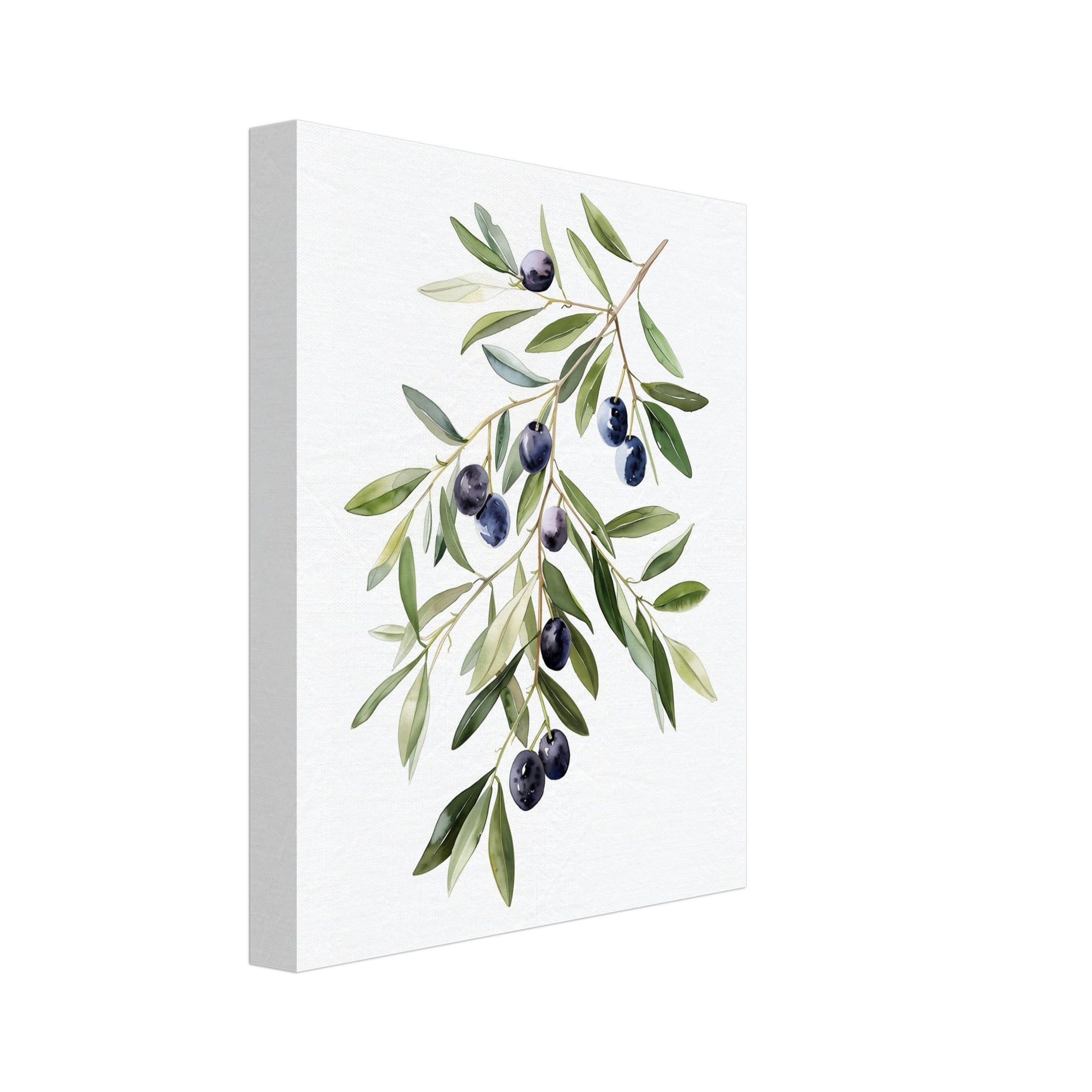 Leinwand „Olive Branch Serenity“ mit Olivenzweig mit grünen Blättern und dunklen Oliven auf weißem Grund, 20x25 cm