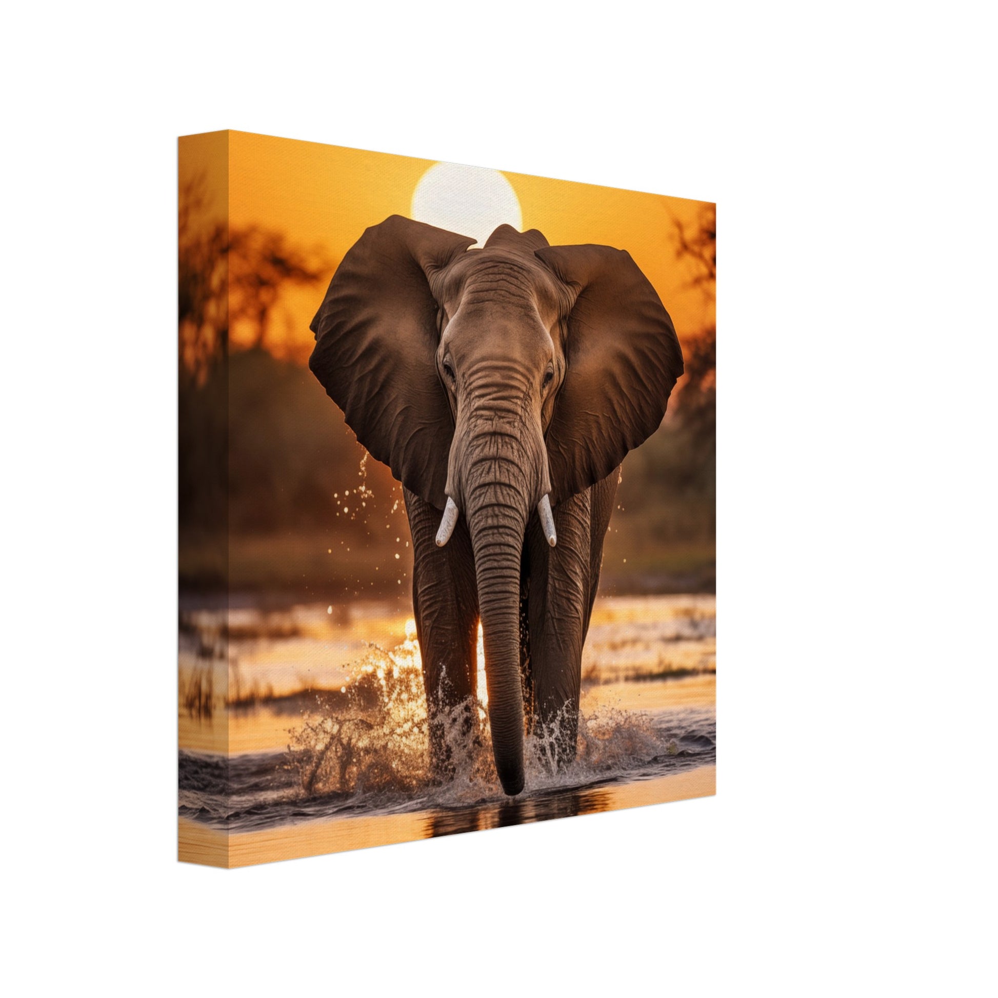 Leinwand „Goliaths Gang“ mit Elefant im flachen Wasser vor warmem orangefarbenem Savannen-Sonnenuntergang, 20x20 cm