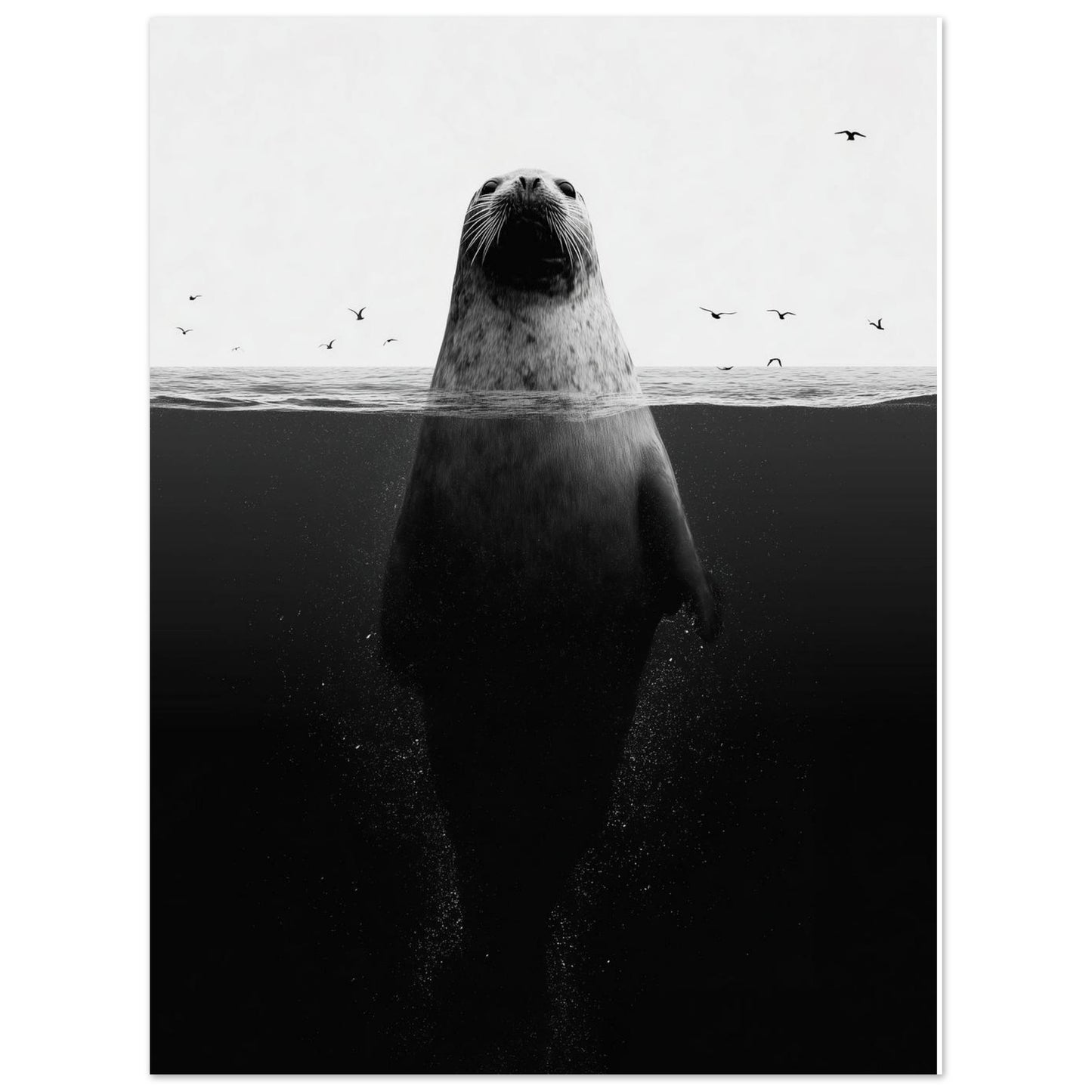 Robbe im Meer – Stille unter der Oberfläche 30x40 cm - Pixara