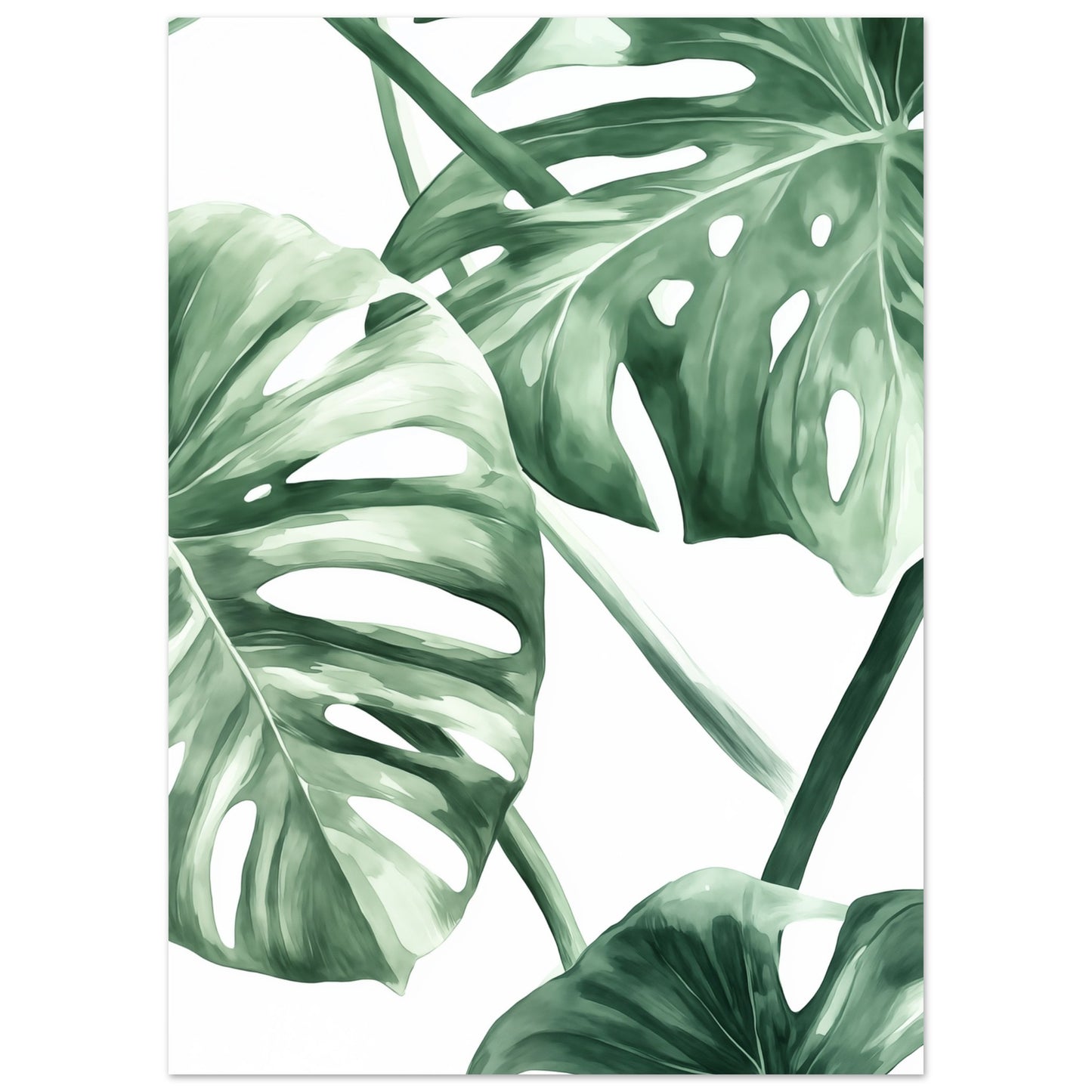 Monstera Eleganz Poster 50x70 cm - Pixara