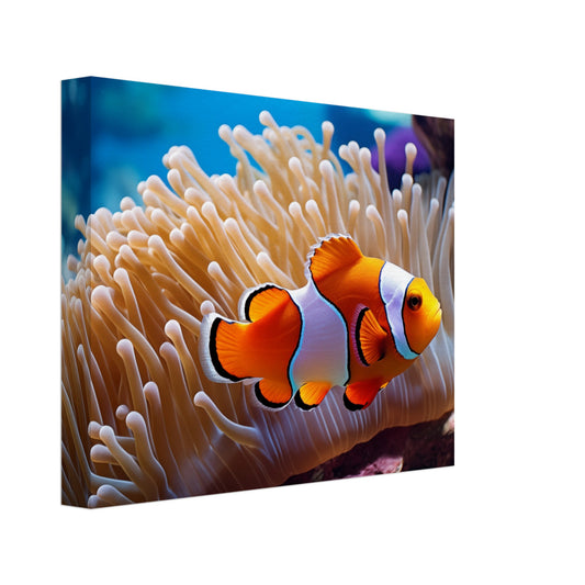 Leinwand „Versteck im Riff“ mit Clownfisch zwischen orangefarbenen Anemonen, 20x25 cm
