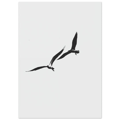 Schwarzer Flug Poster 50x70 cm - Pixara