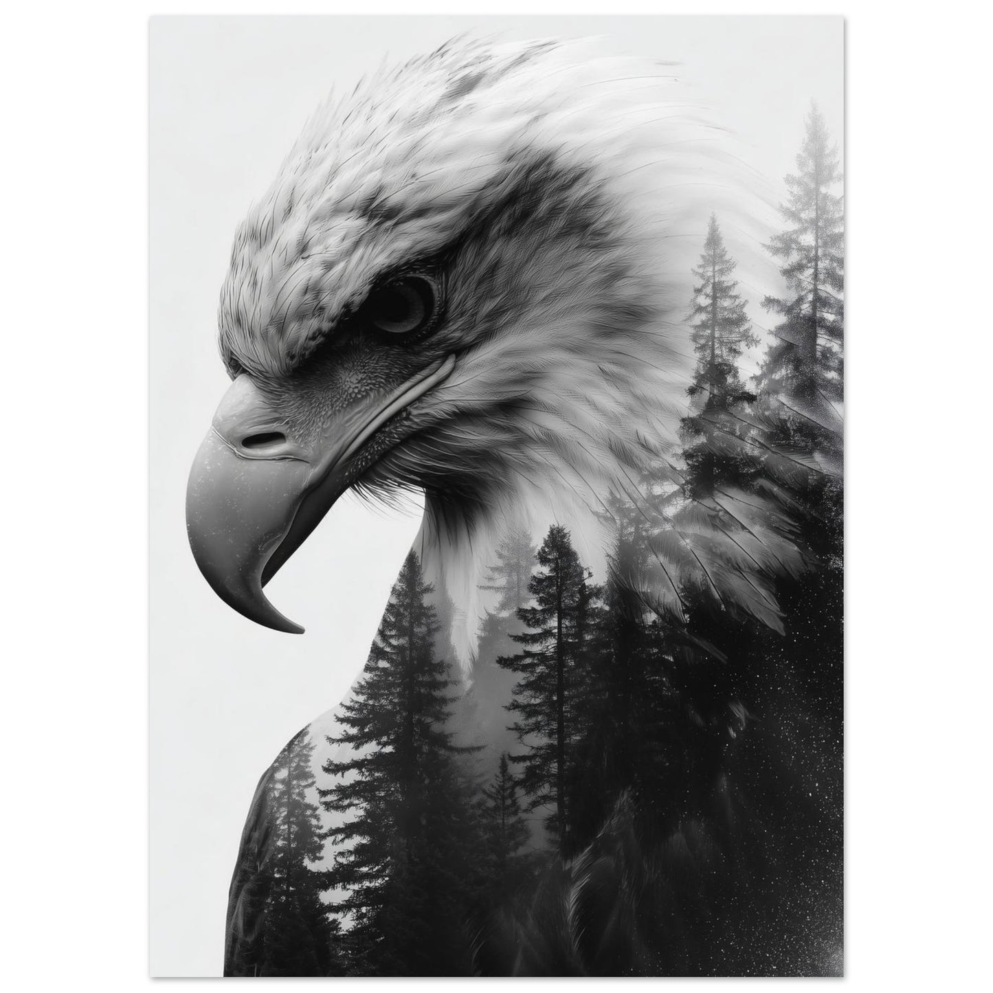 Adler & Wald – Schwarzweiß Doppelbelichtung 13x18 cm - Pixara