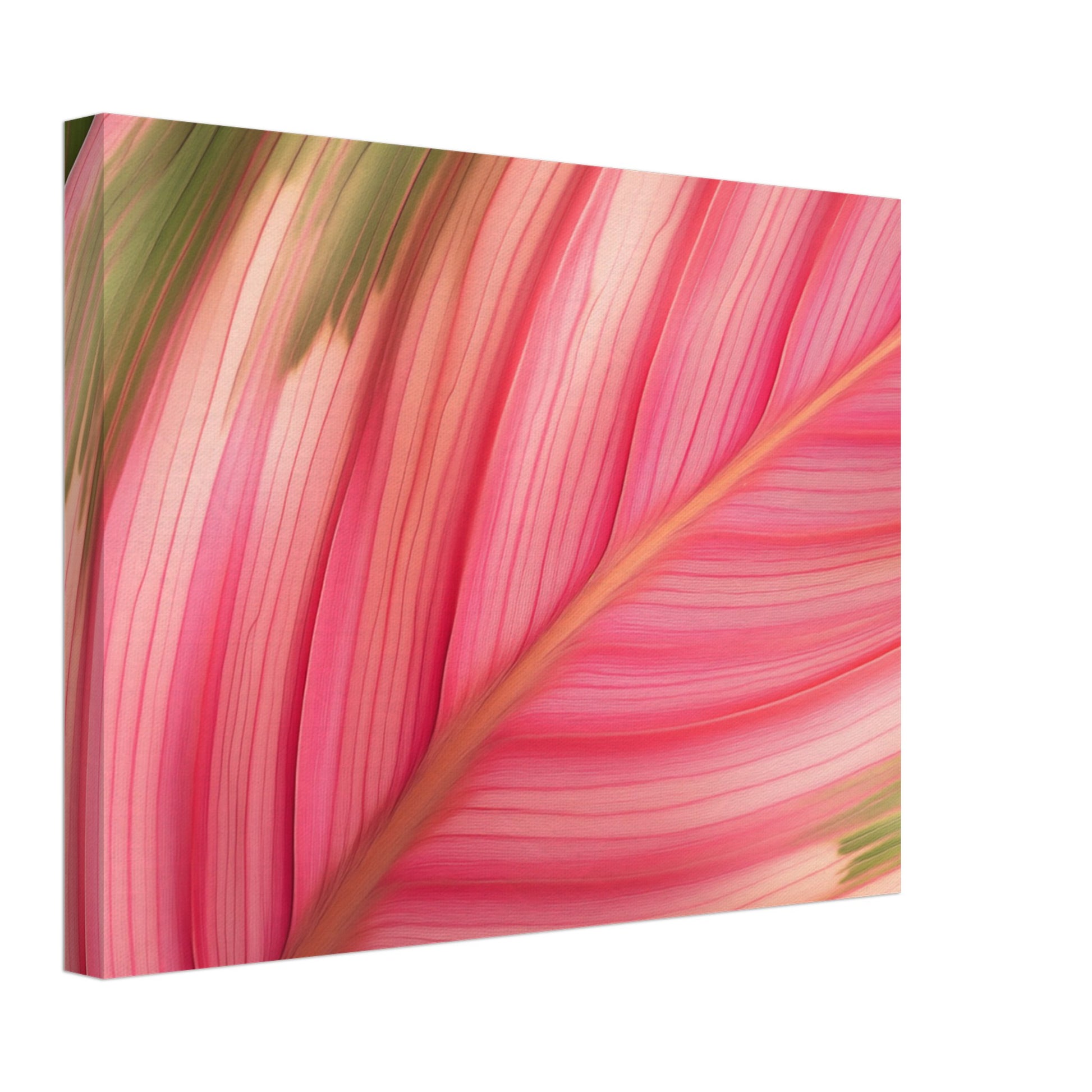 Leinwand „Calathea-Magie“ mit geschwungenes Calathea Blatt mit intensiven rosa und grünen Farbbändern, Format 30 × 40 cm