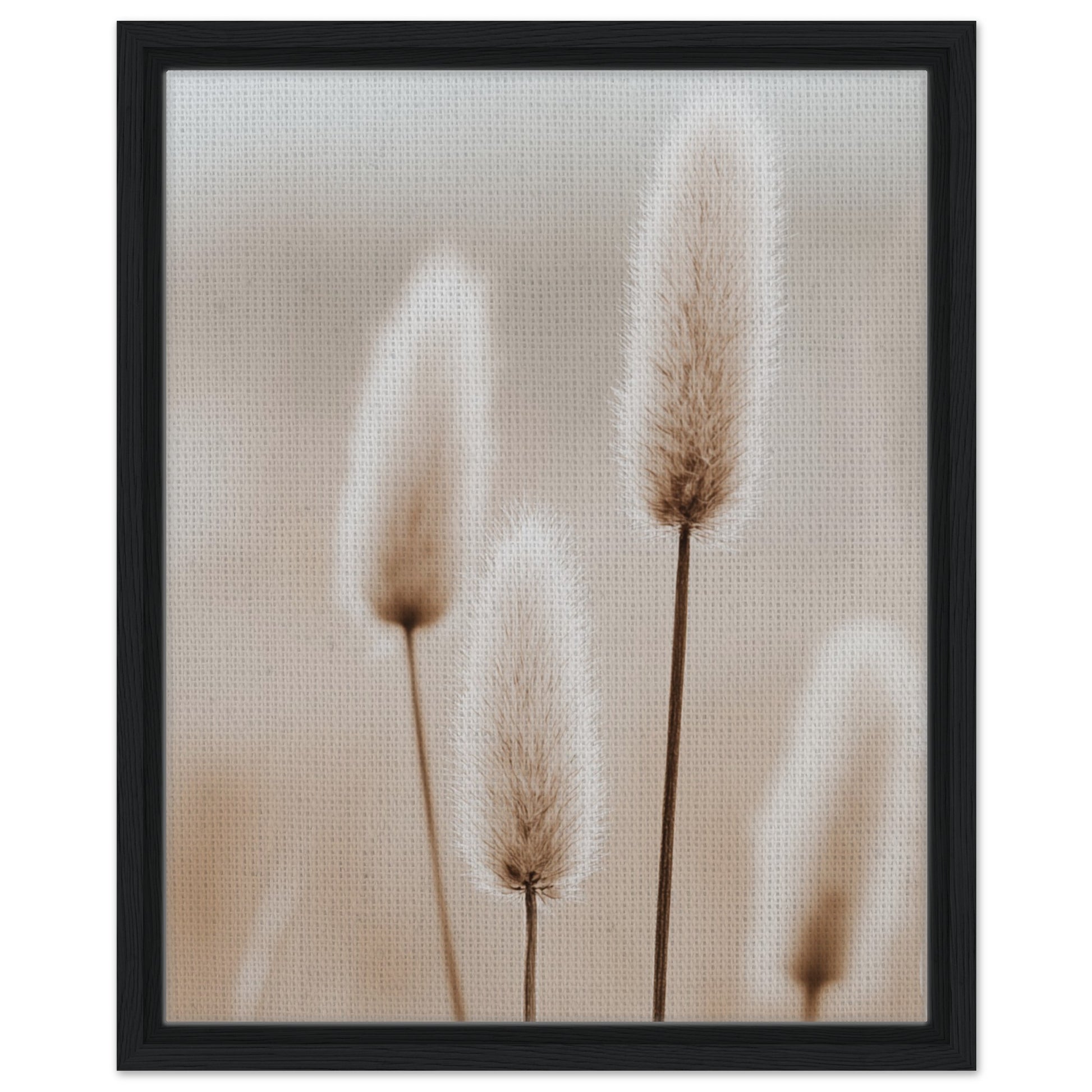 Hasenschwanzgräser in sanften Tönen | Gerahmte Leinwand Schwarzer Rahmen 40x50 cm - Pixara