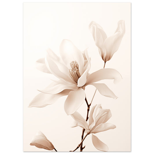 Poster „Zarte Erhebung“ mit Magnolienblüten in Creme und Beige auf dunklen Zweigen, 13x18 cm