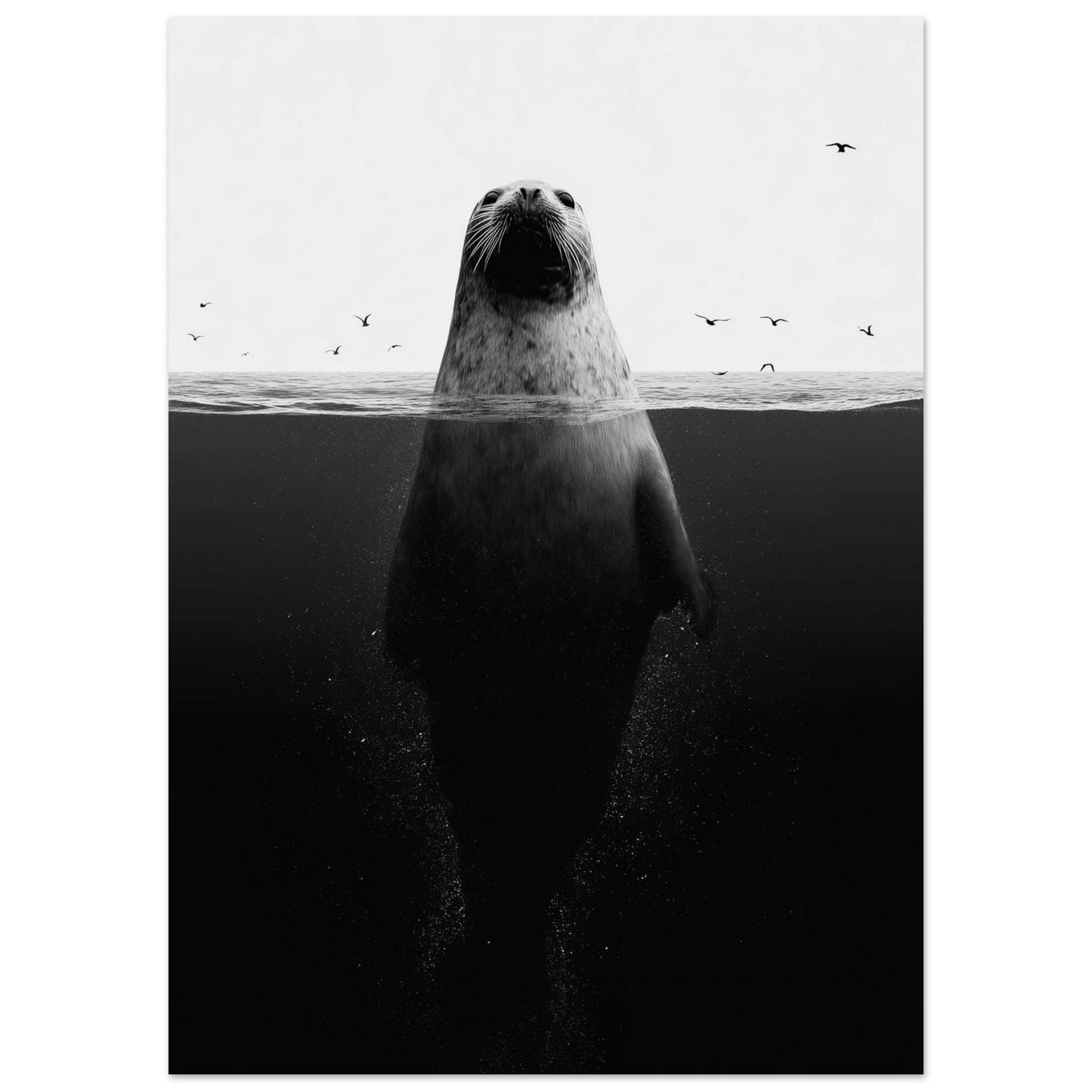 Robbe im Meer – Stille unter der Oberfläche 50x70 cm - Pixara