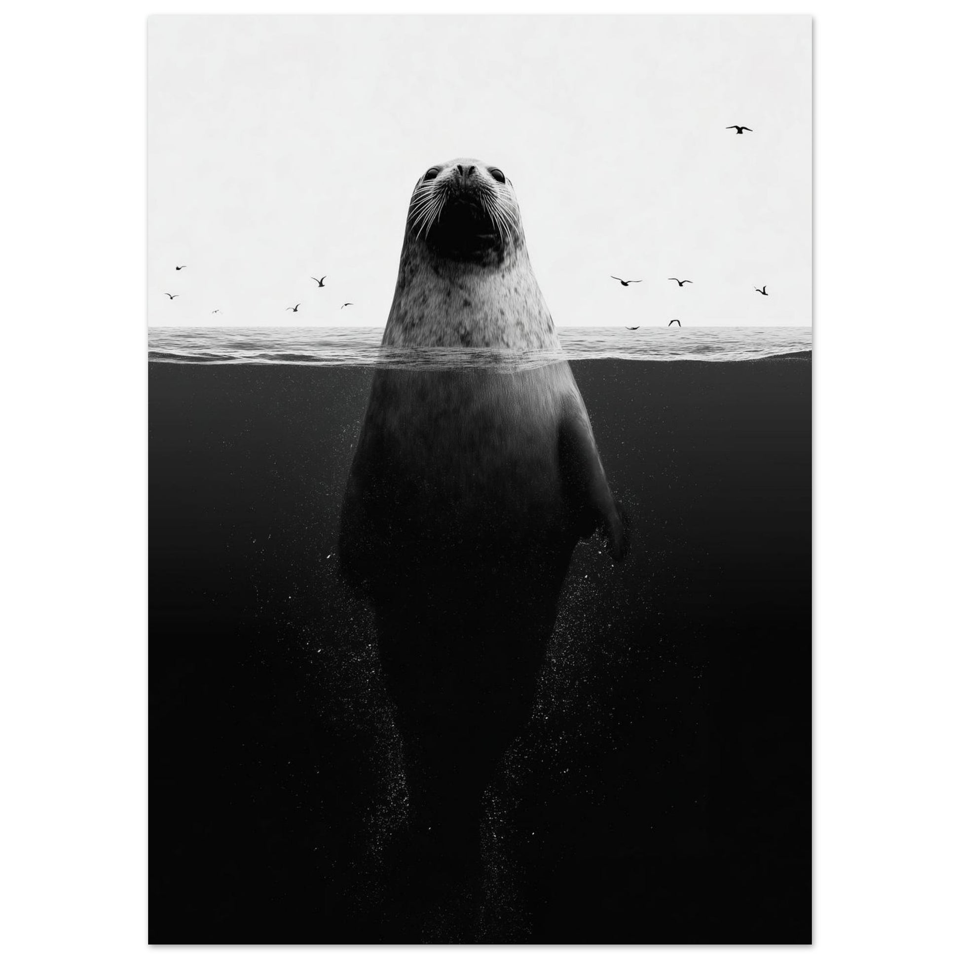 Robbe im Meer – Stille unter der Oberfläche 50x70 cm - Pixara