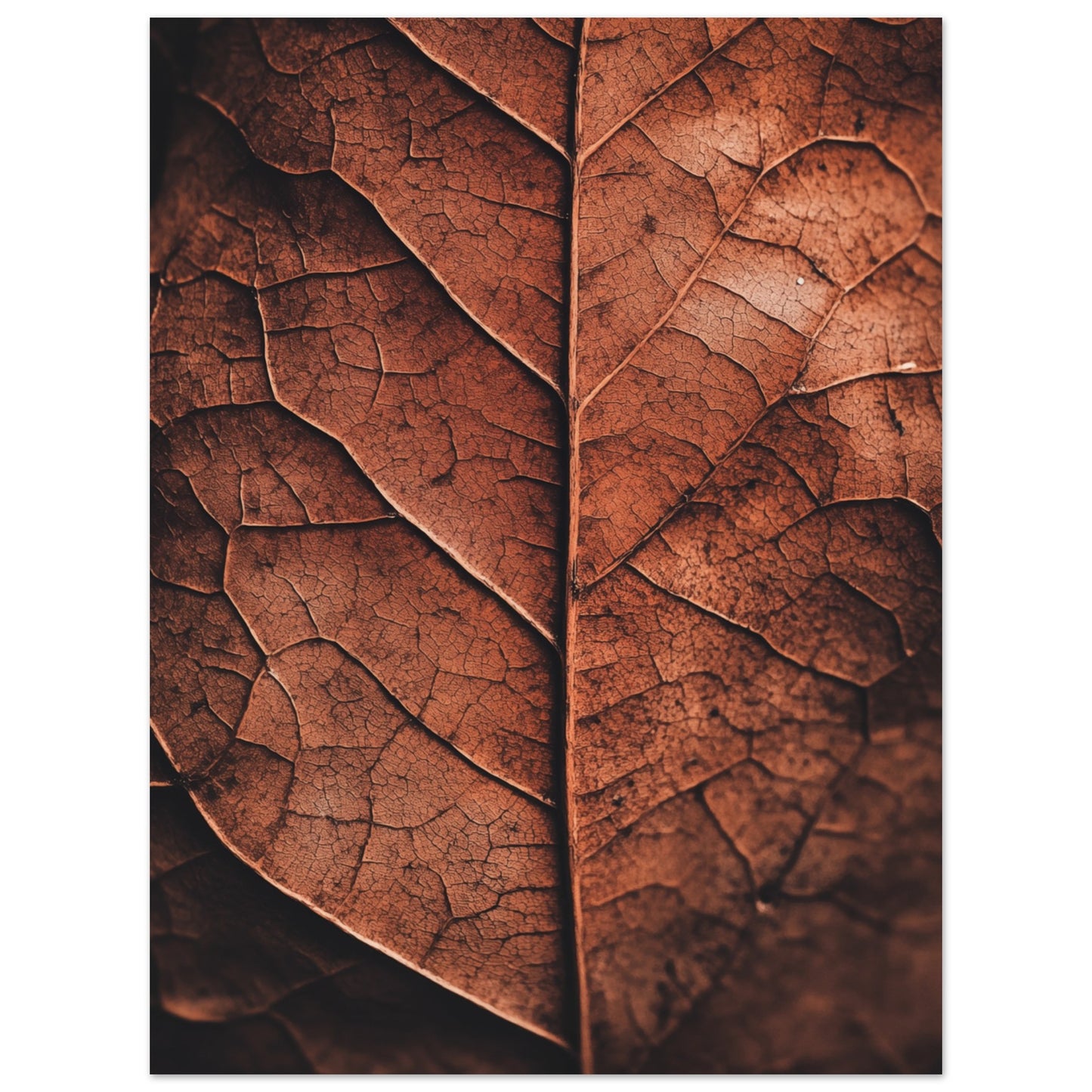 Herbstliches Laub – Natur im Detail Poster 30x40 cm - Pixara