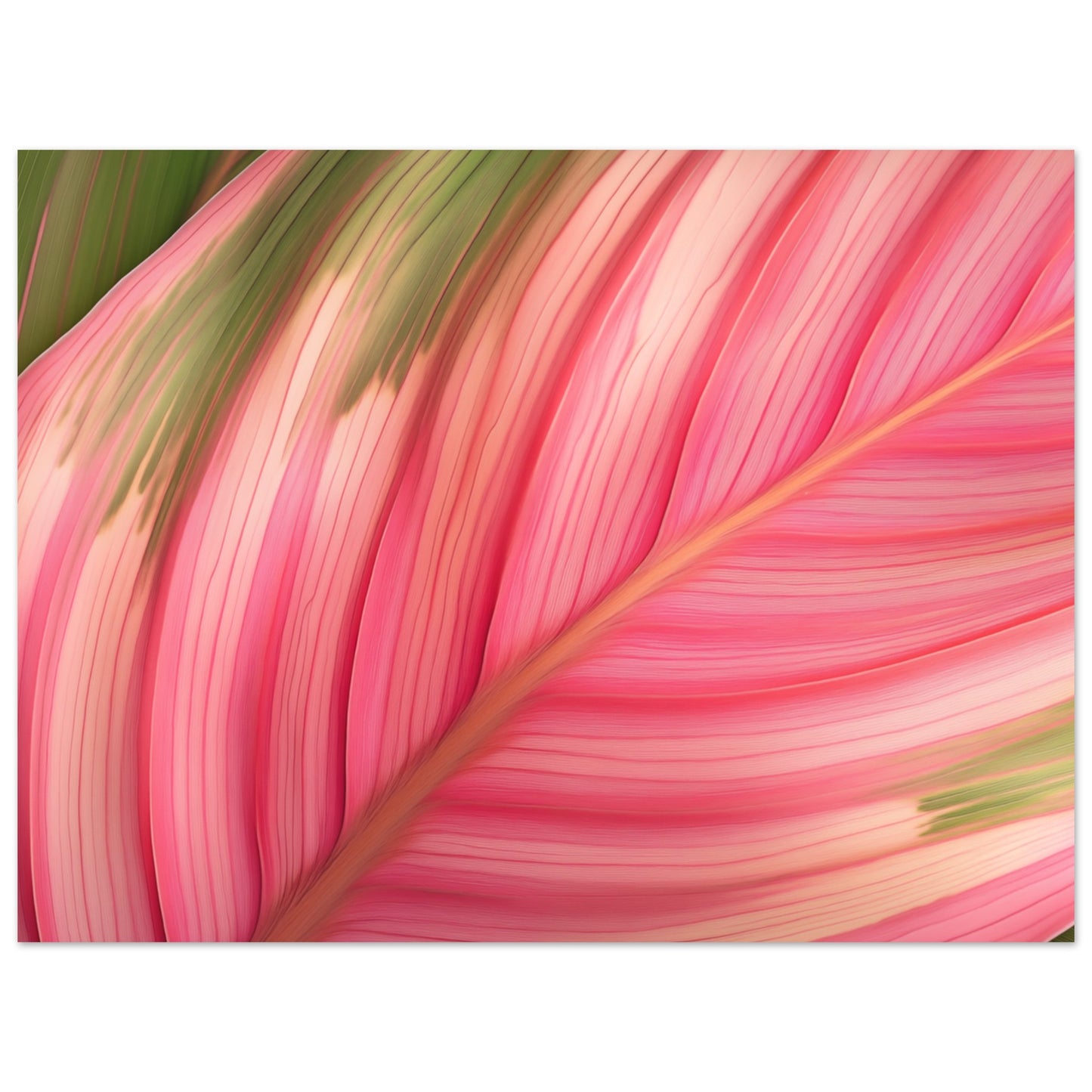 Calathea-Magie Poster 30x40 cm - Pixara