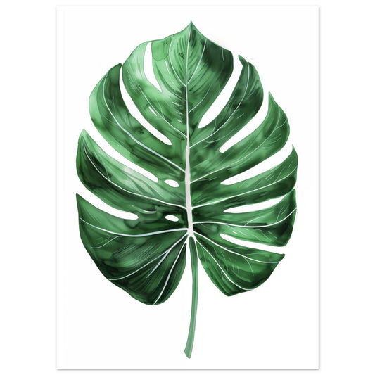 Poster „Monstera Marvel“ mit einzelnes glänzendes Monstera-Blatt in kräftigem Dunkelgrün, 13x18 cm