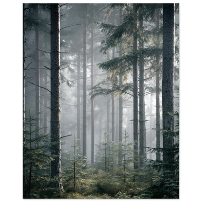 Morgennebel im Wald 20x25 cm - Pixara