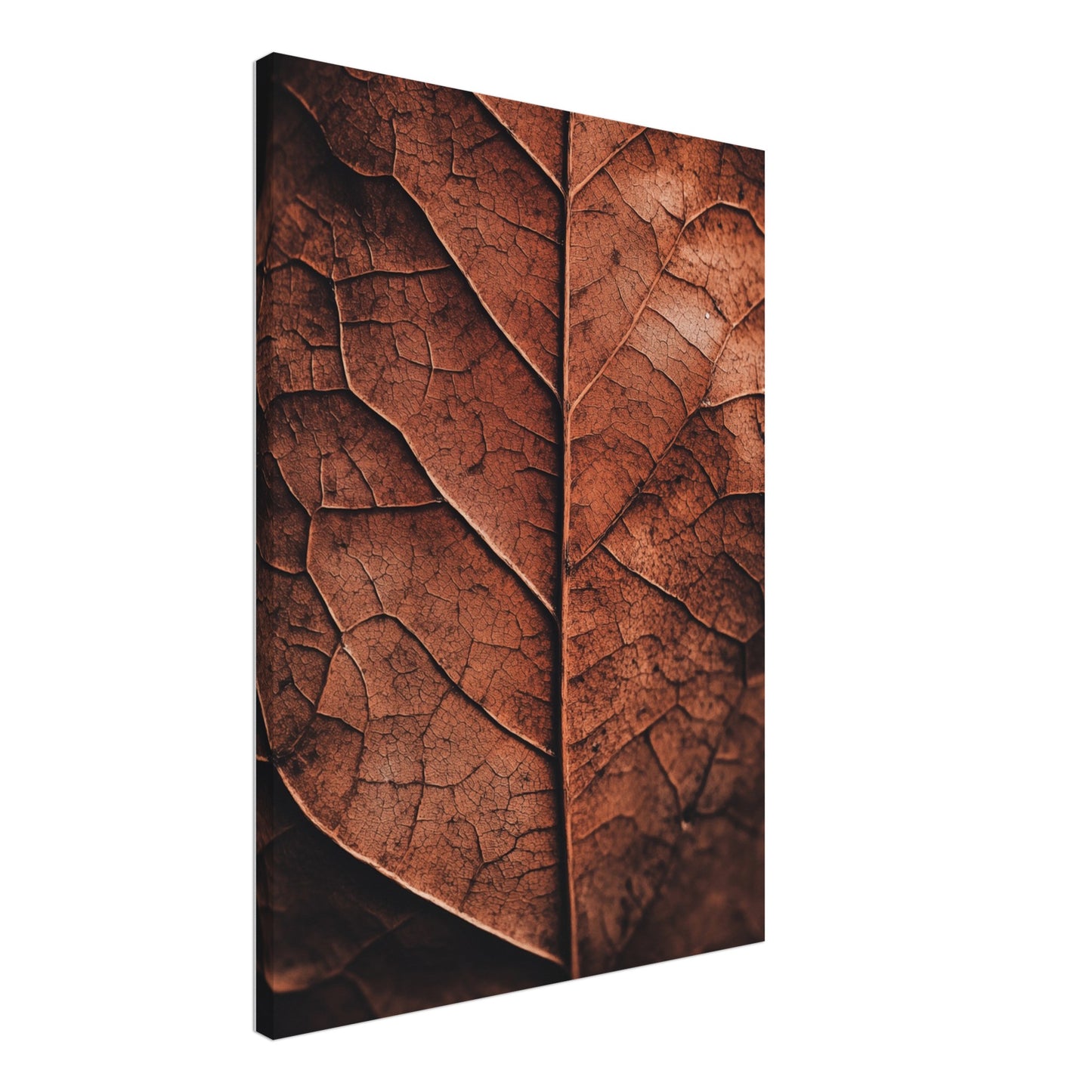 Herbstliches Laub – Natur im Detail Leinwand 50x70 cm - Pixara