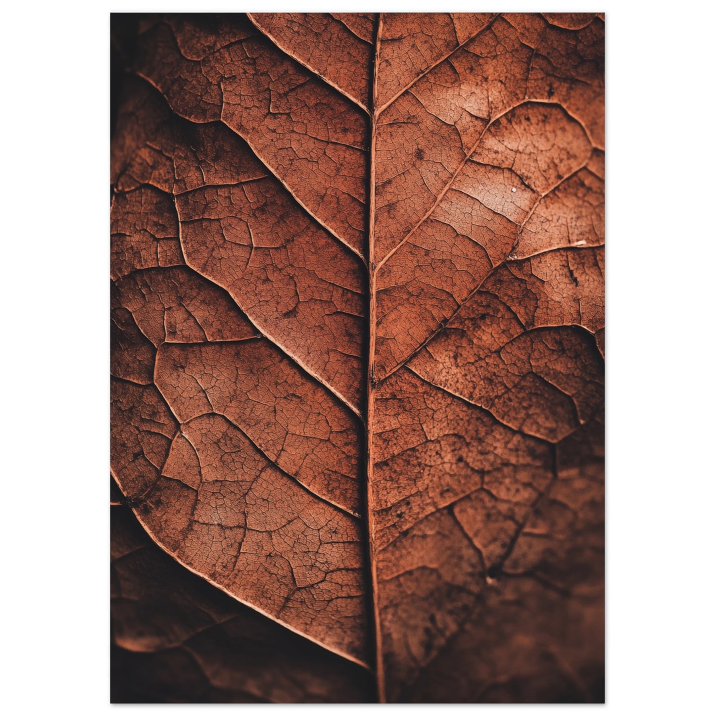 Herbstliches Laub – Natur im Detail Poster 50x70 cm - Pixara