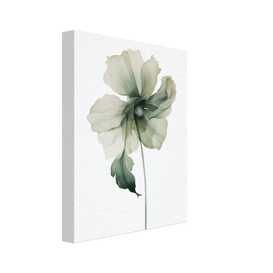 Leinwand „Grüne Anmut“ mit zarte grüne Blüte mit weichen transparenten Blütenblättern auf weißem Grund, 20x25 cm