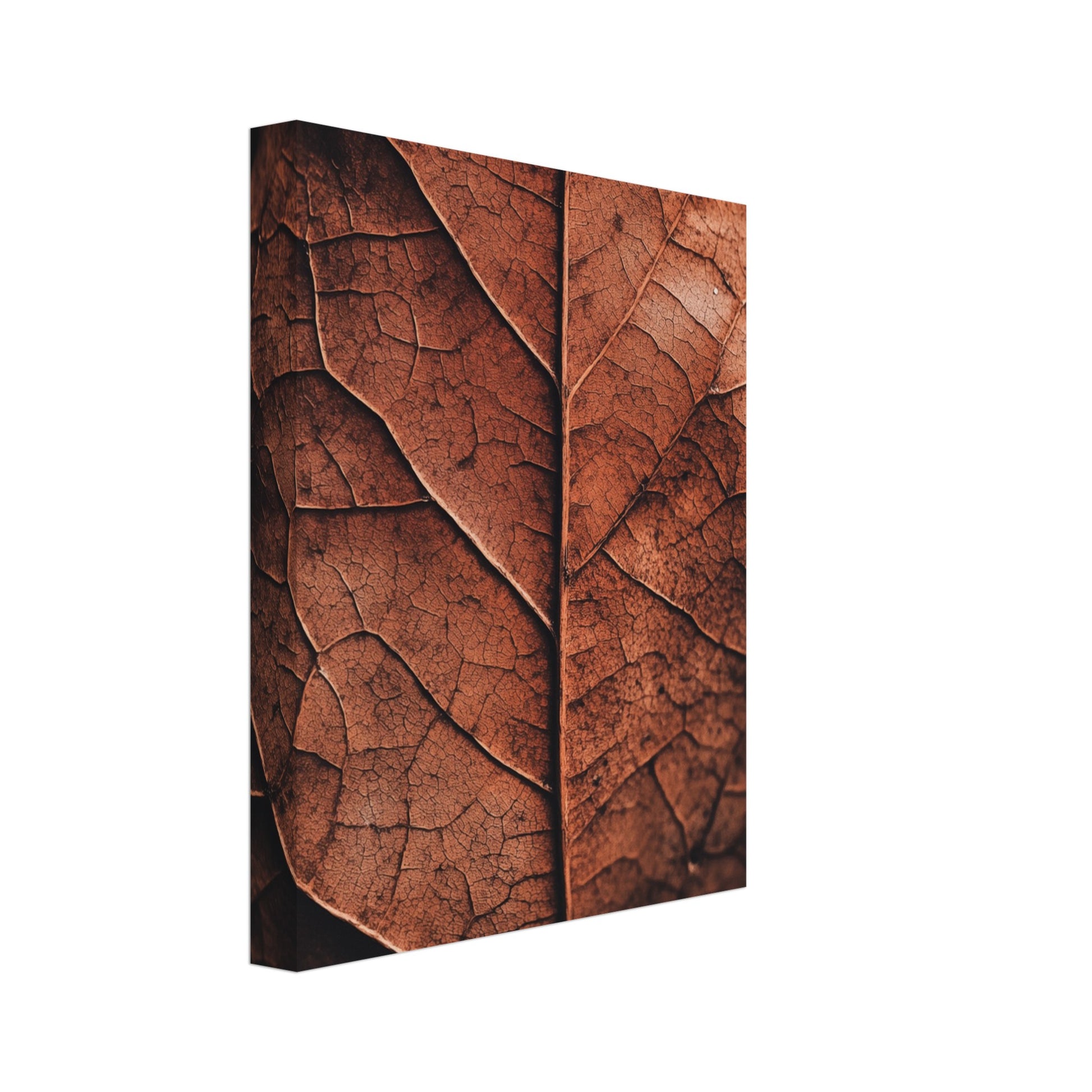 „Herbstliches Laub , Natur im Detail“ als Leinwand mit Nahaufnahme eines trockenen Herbstblatts mit feiner Aderstruktur in, Ansicht 11