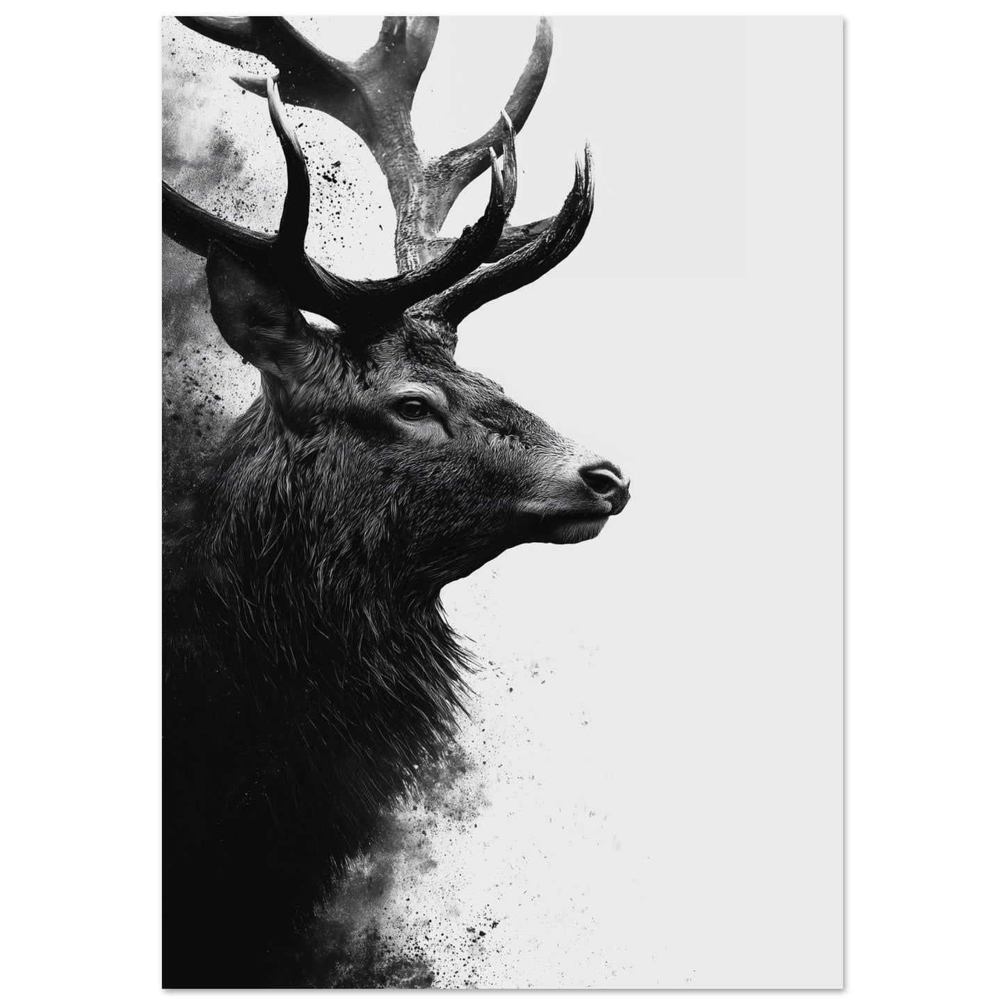 Hirsch – Schwarzweiß Fine-Art Porträt 70x100 cm - Pixara