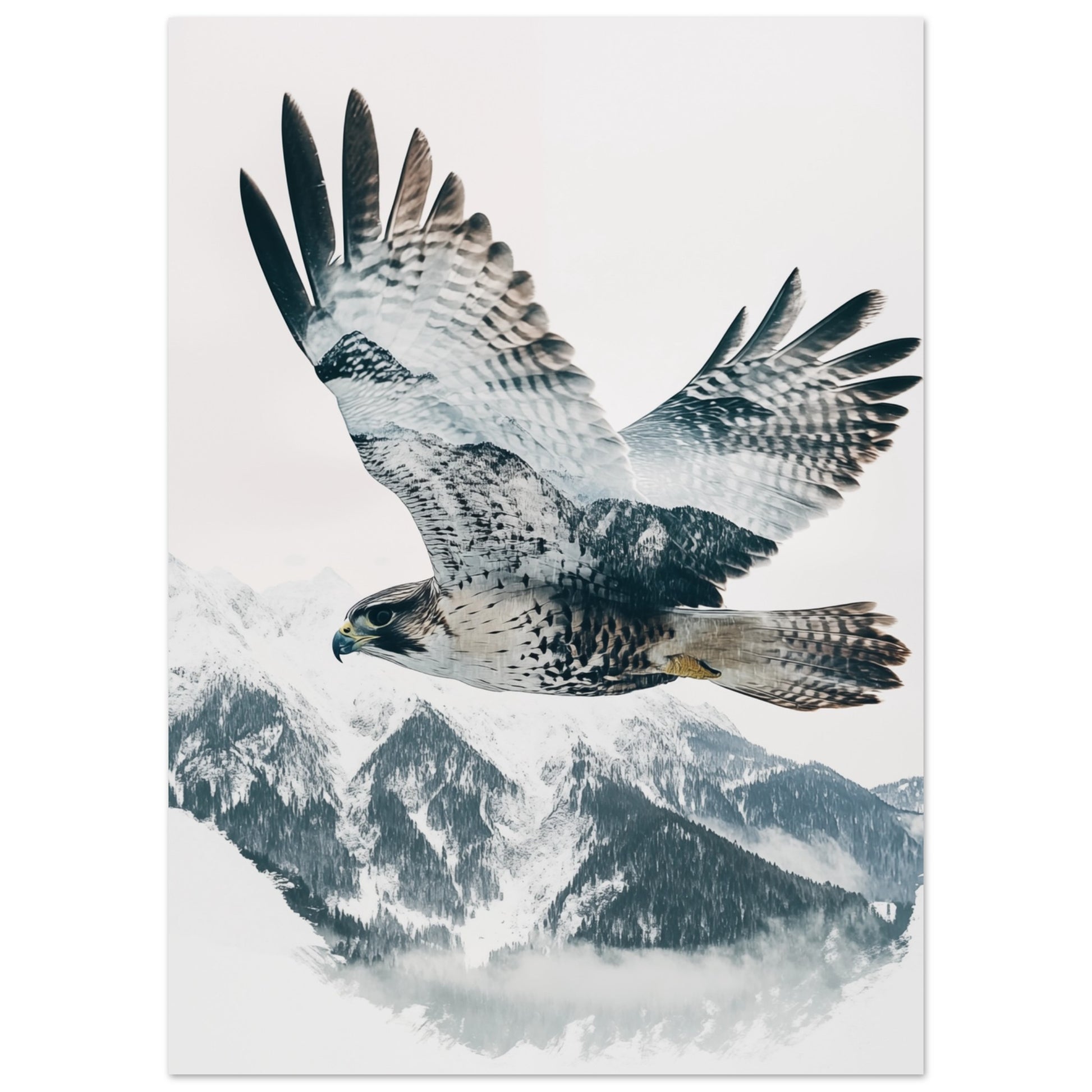 Doppelbelichtung Falke im Flug 50x70 cm - Pixara