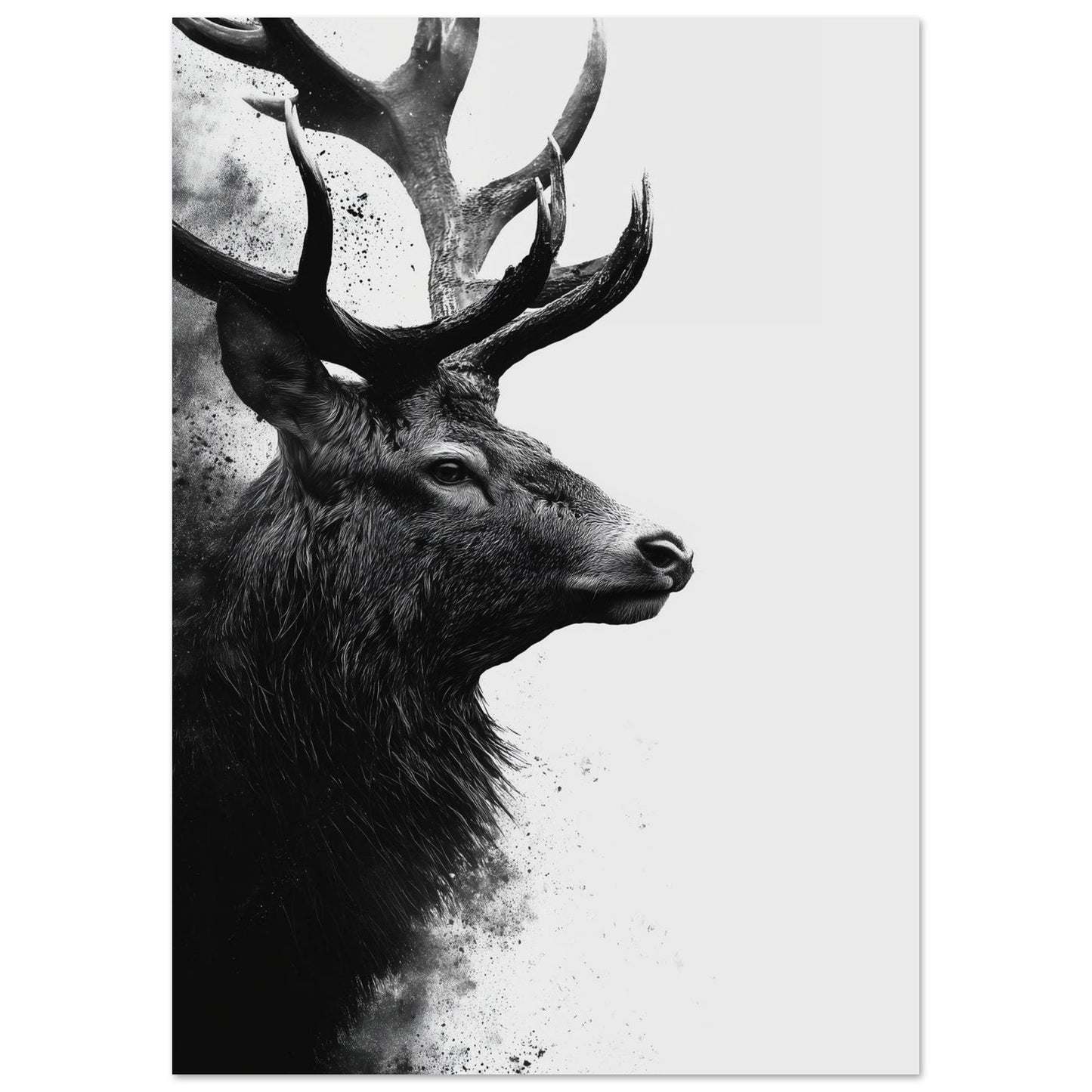 Hirsch – Schwarzweiß Fine-Art Porträt 21x29.7 cm - Pixara