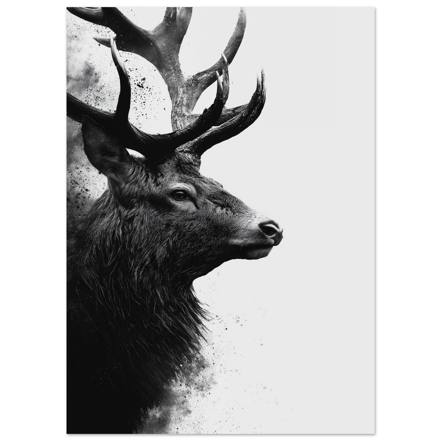 Hirsch – Schwarzweiß Fine-Art Porträt 13x18 cm - Pixara