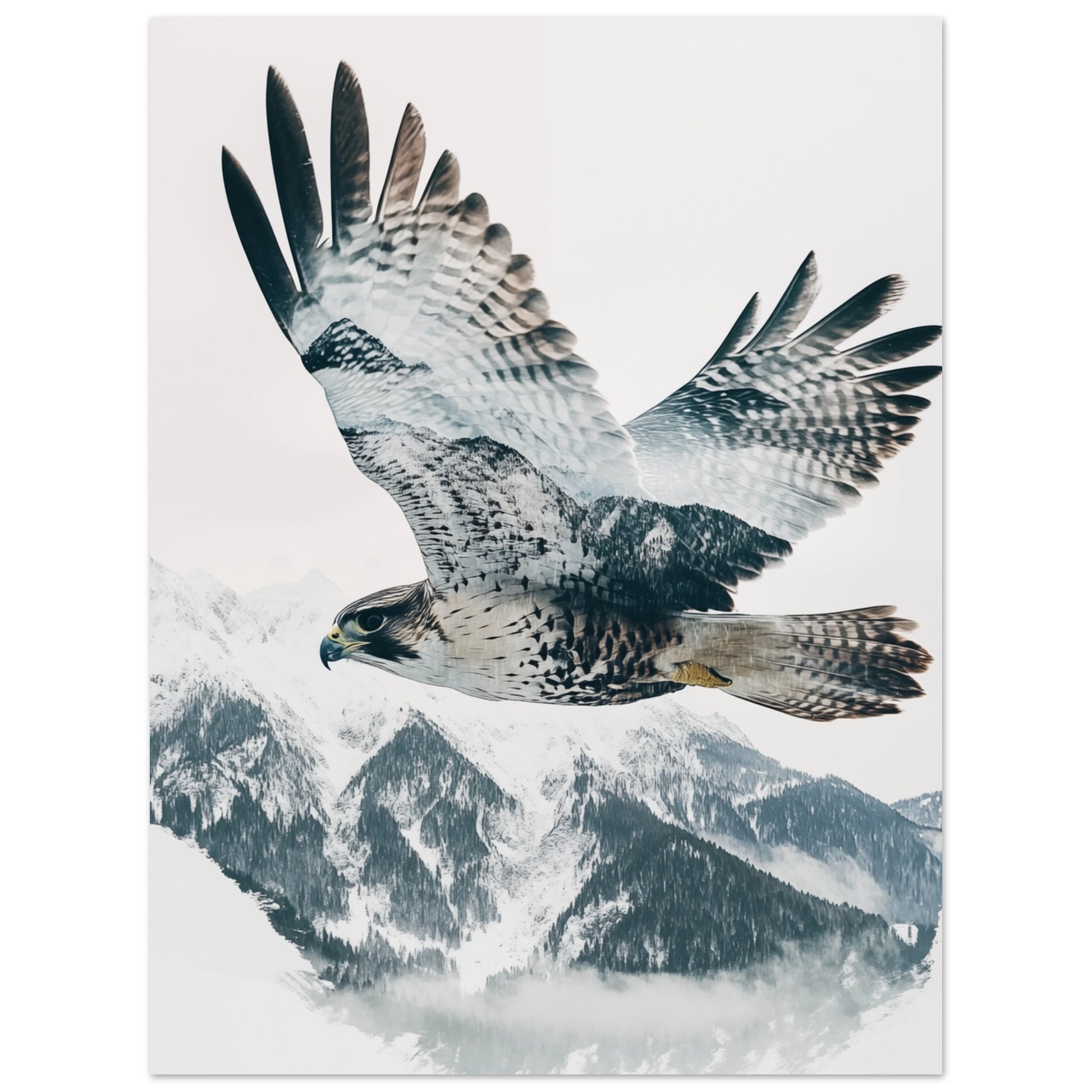 Doppelbelichtung Falke im Flug 30x40 cm - Pixara