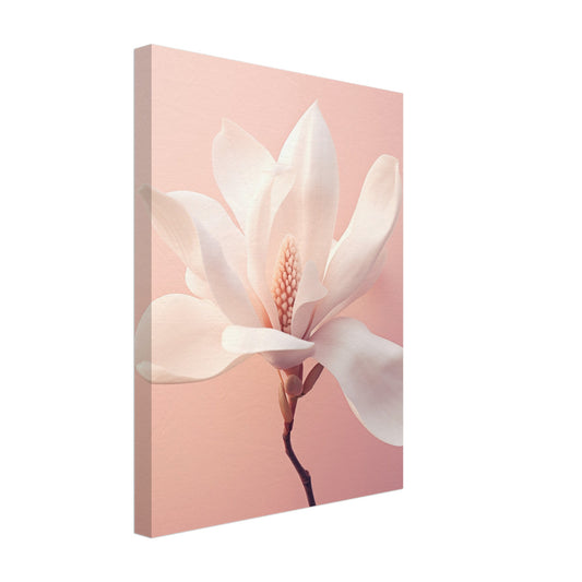 Leinwand „Frühlingserwachen“ mit weiße Magnolienblüte auf rosafarbenem Hintergrund, 30x40 cm